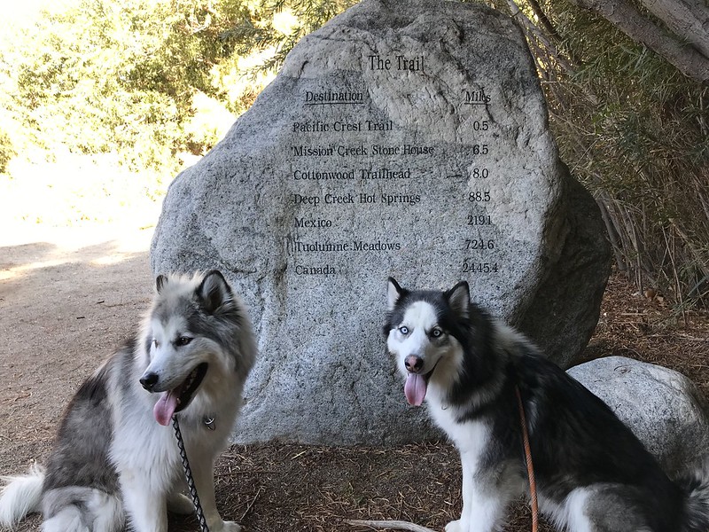 Whitewater Preserve in Southern California. 6 mile hike with Max and Mika.