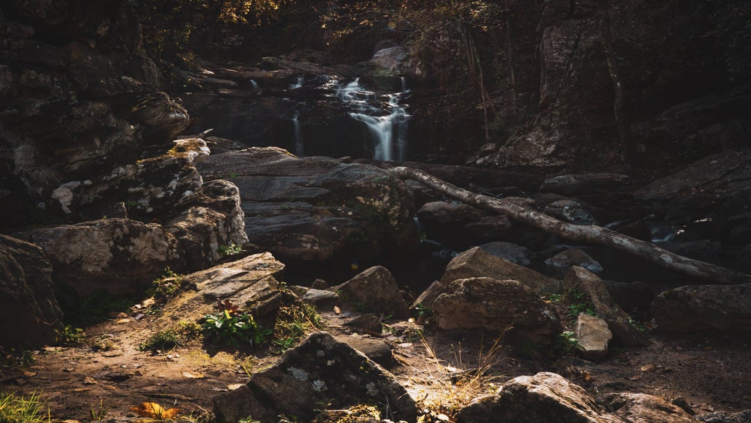 Shot this on a morning hike last week in Palmetto, GA OC 5323×2994