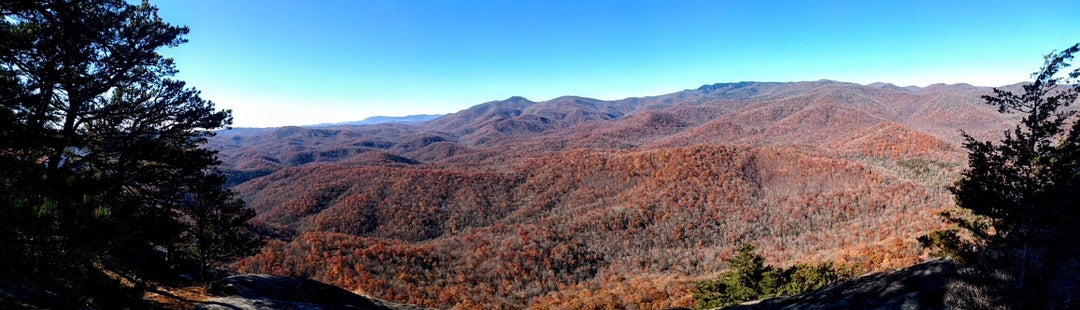 Pisgah National Forest, North Carolina, USA – this past week.