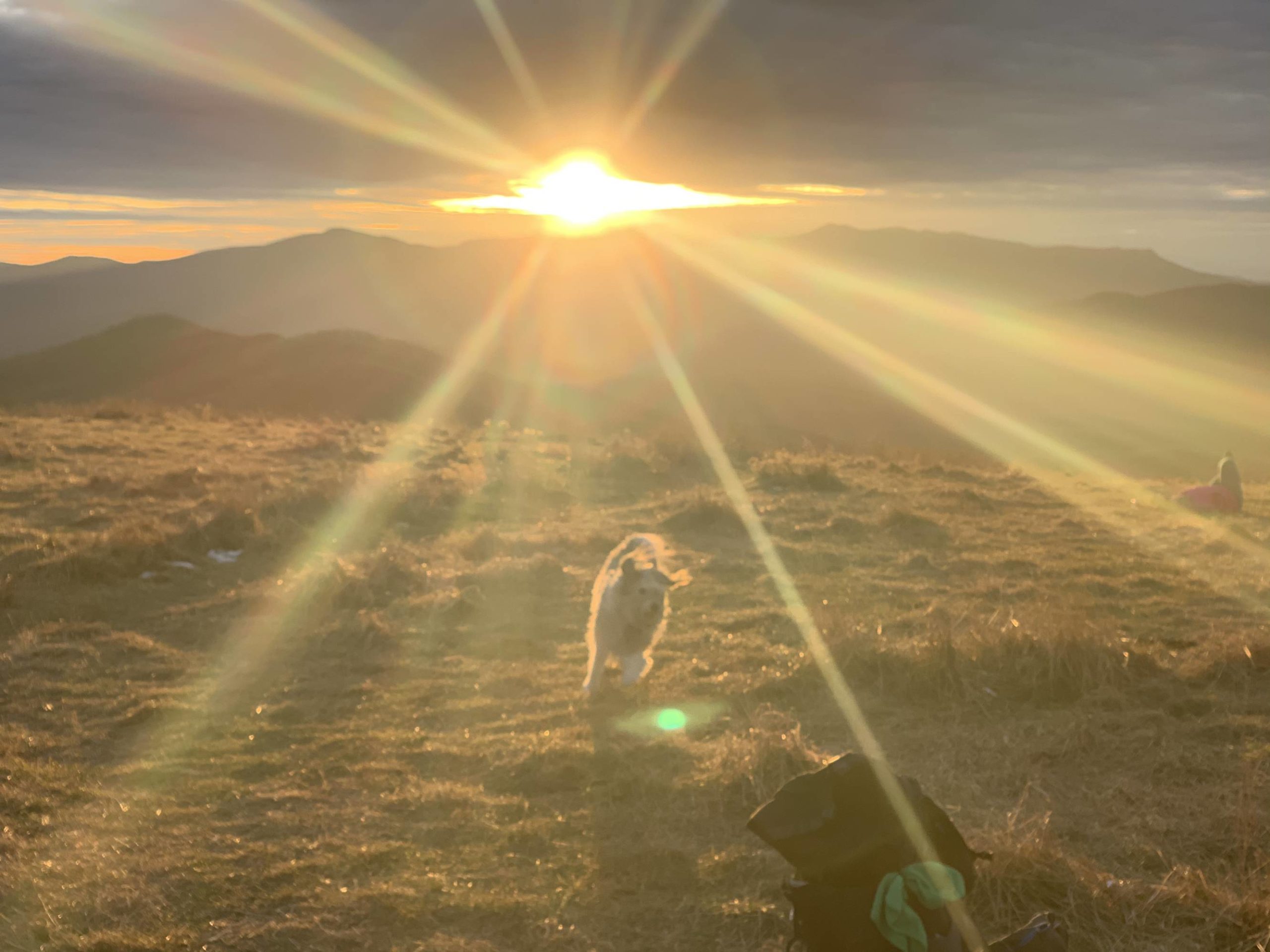 Sunset with my dog at Max Patch on the AT in NC