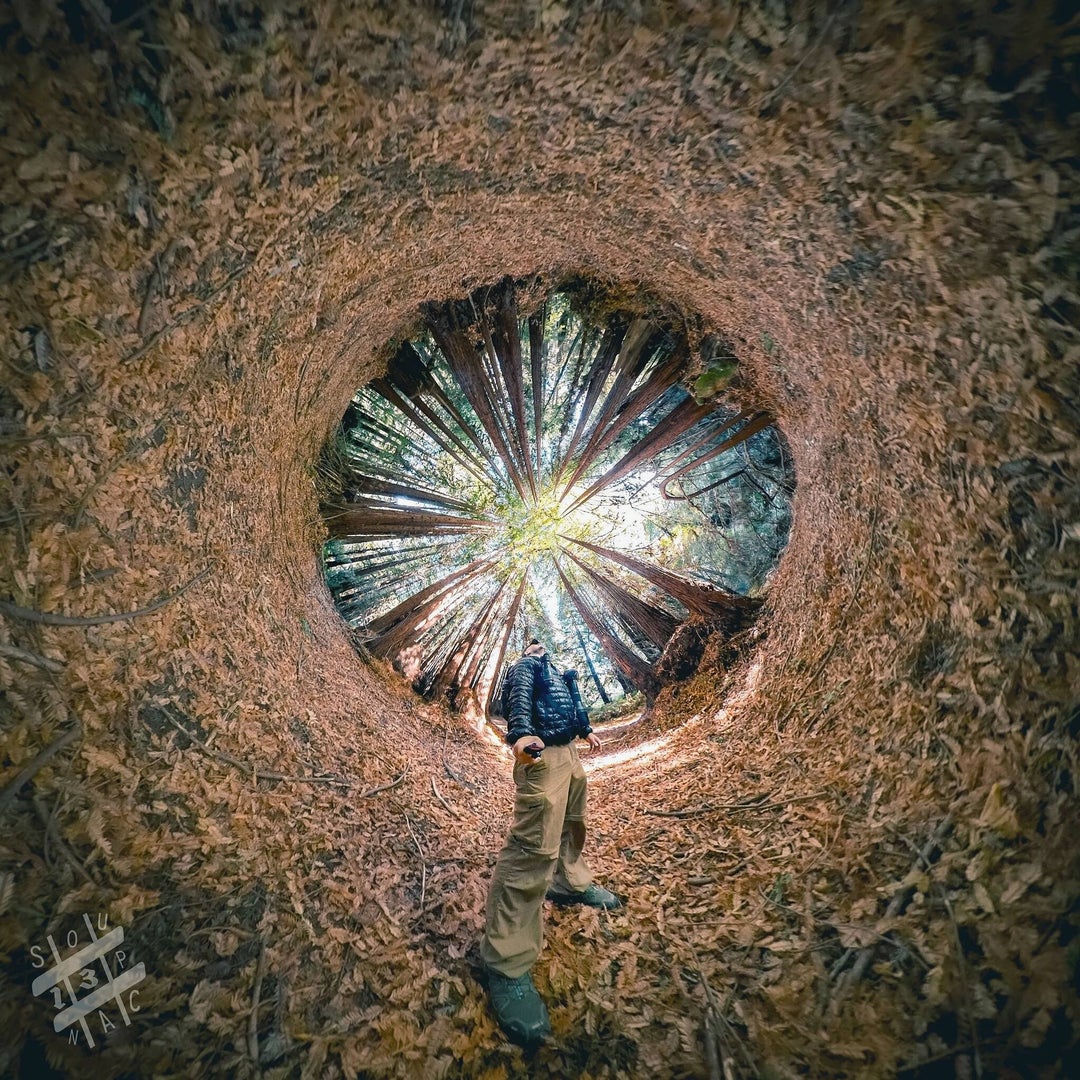 360 degree panorama I snapped last weekend hiking under the Santa Cruz redwoods, Nisen Marks State Park, California, USA