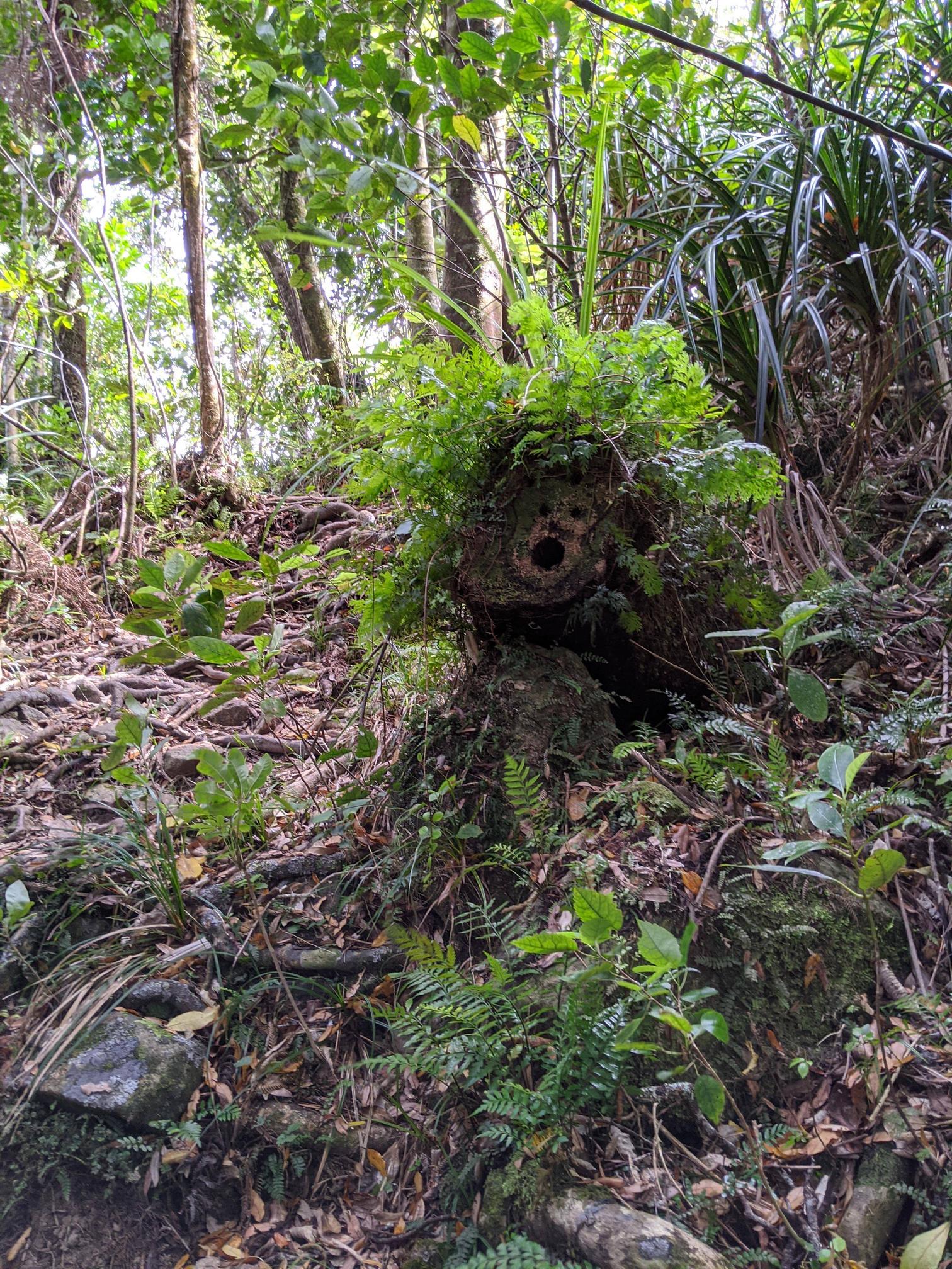 Hiking through New Zealand