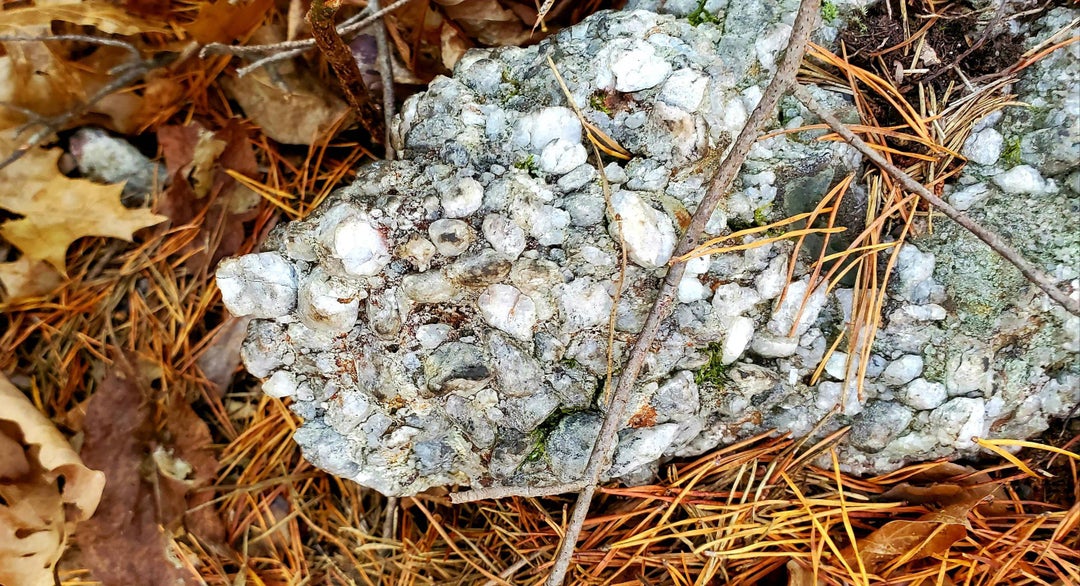 Can anyone tell me what kind of rock this is Found several in Tennessee while hiking this weekend. Is it a type fo quartz