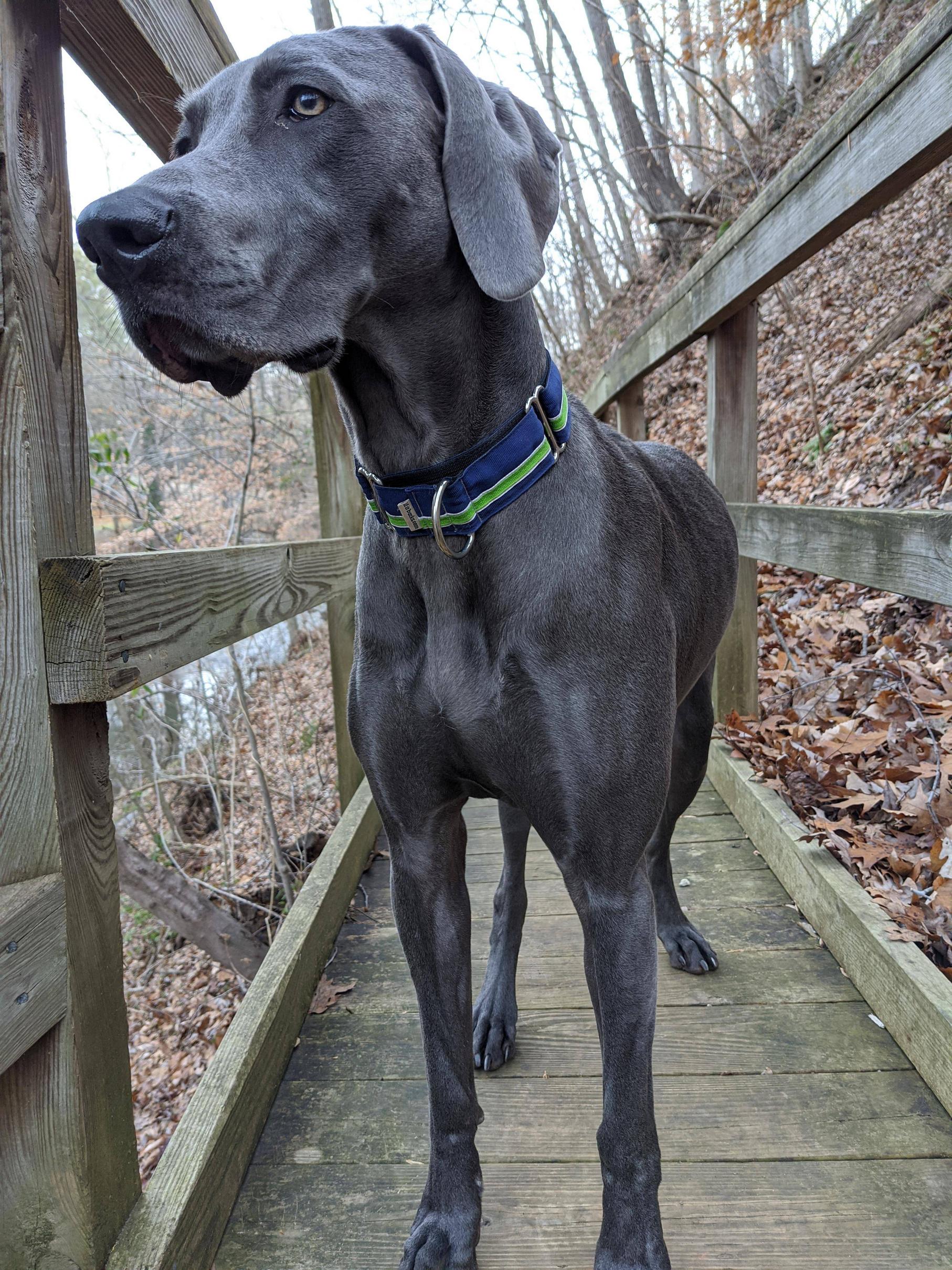 Out for a hike