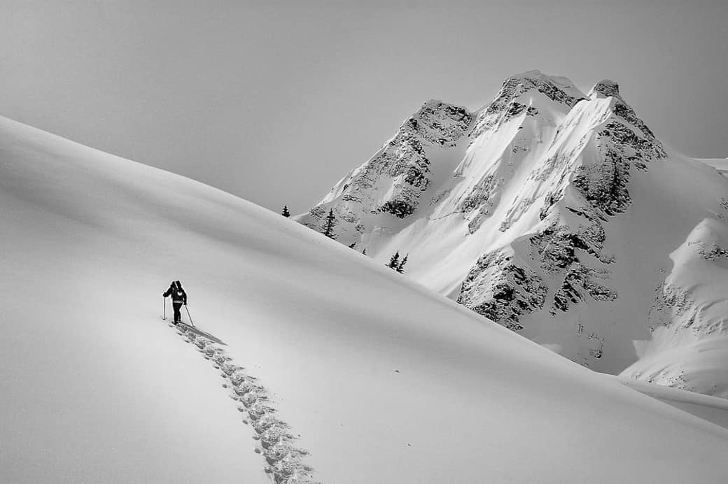 I need more of this.snow outdoors blackandwhite bnw_rose blackandwhitephotography bnw…