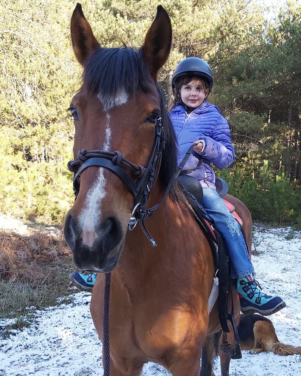 Fun for all ages makememories bolu sakintepe yedigoller horses horsebackriding horsetherapy…