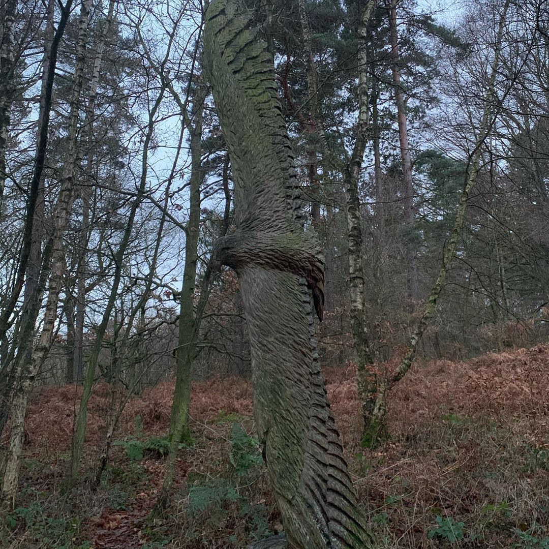 Some pretty cool sculptures this morning outdoors woodcarving traildog walkingthedog