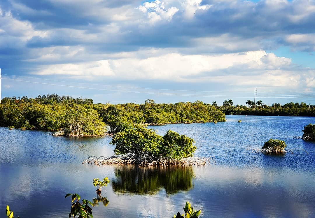 mangroves clouds bluesky reflection outdoors naturalbeauty floridaliving lovefl naplesfl s…