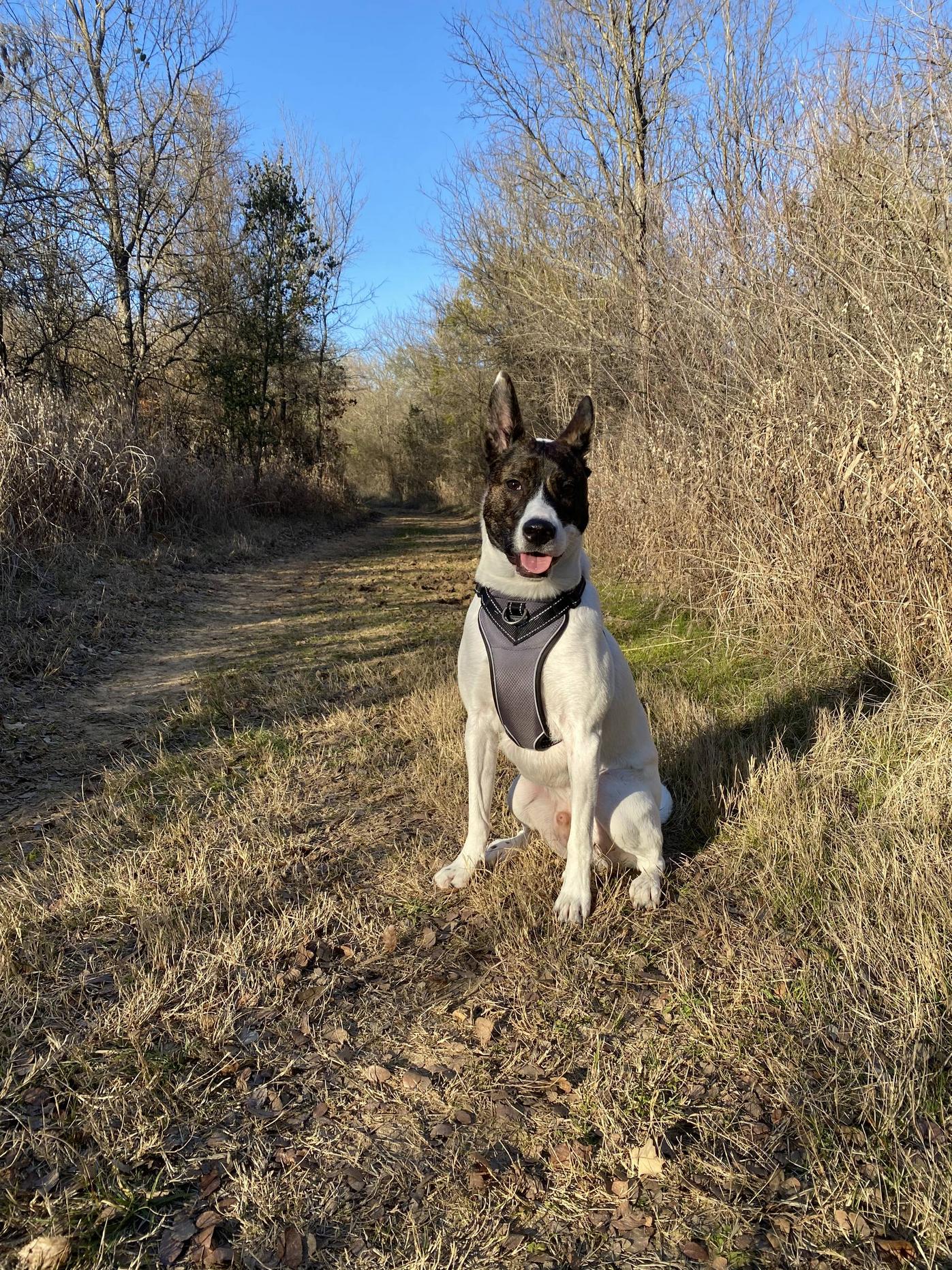 Winters are for empty trails and long hikes