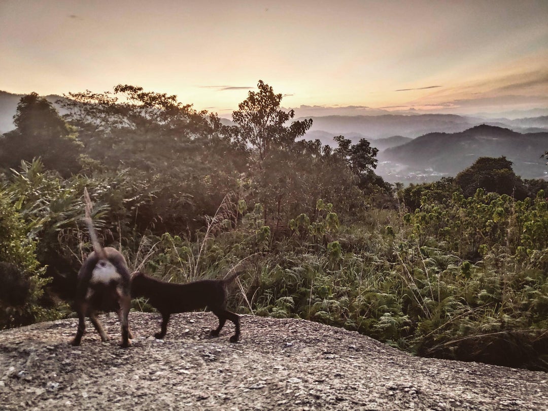 Morning sunrise hike