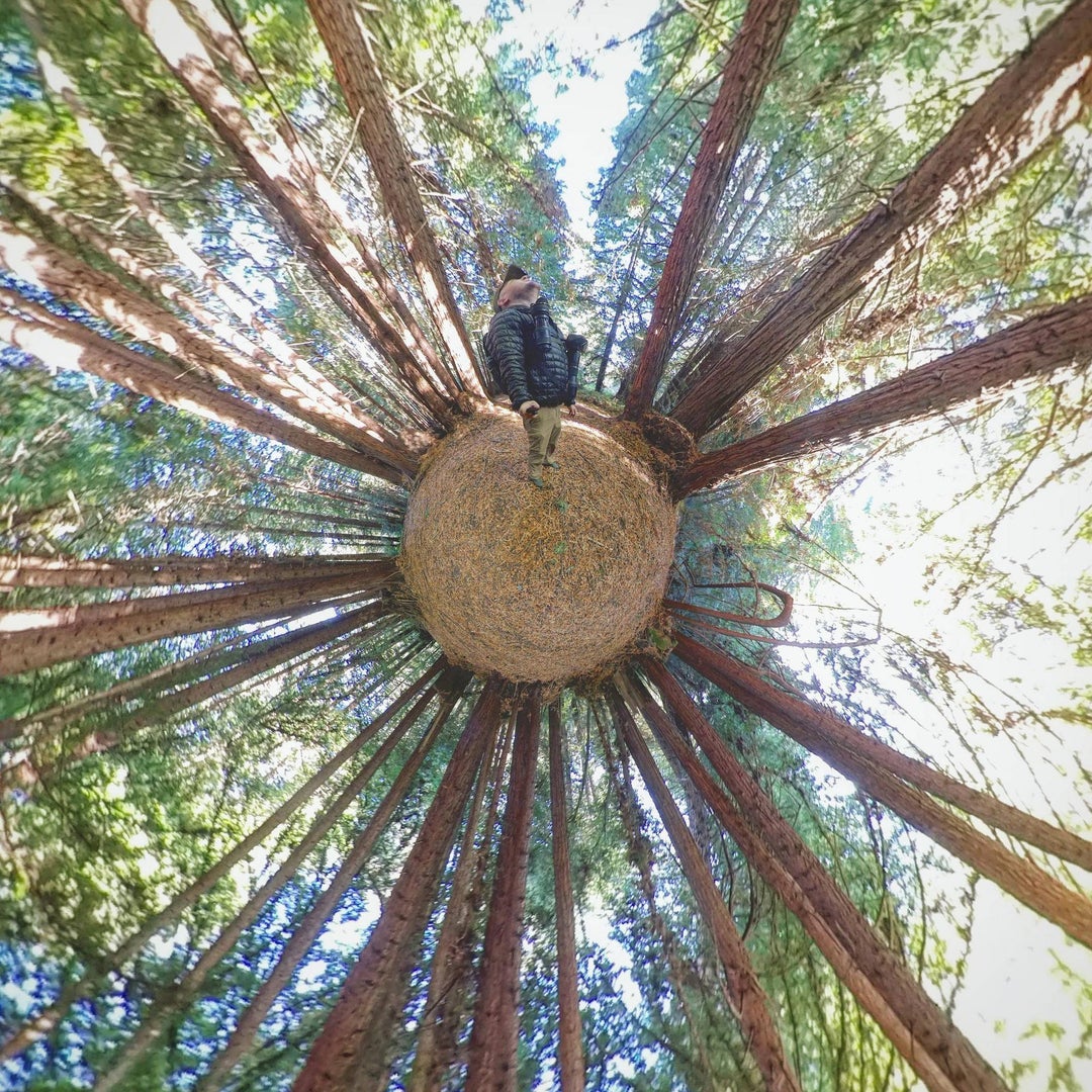 Hiking in the woods, Henry Cowell State Park, CA