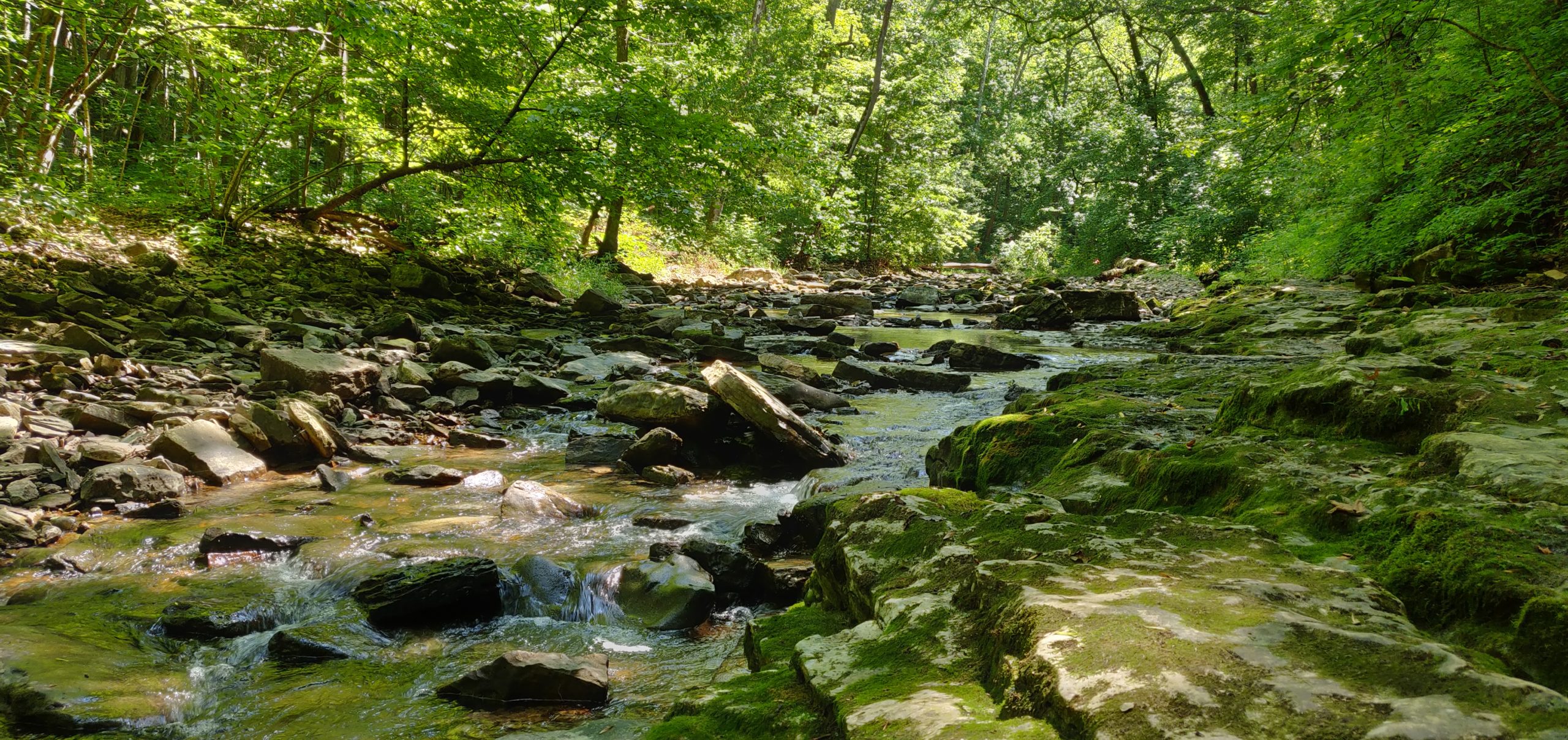 My favorite picture from hiking at McCormicks Creek this summer