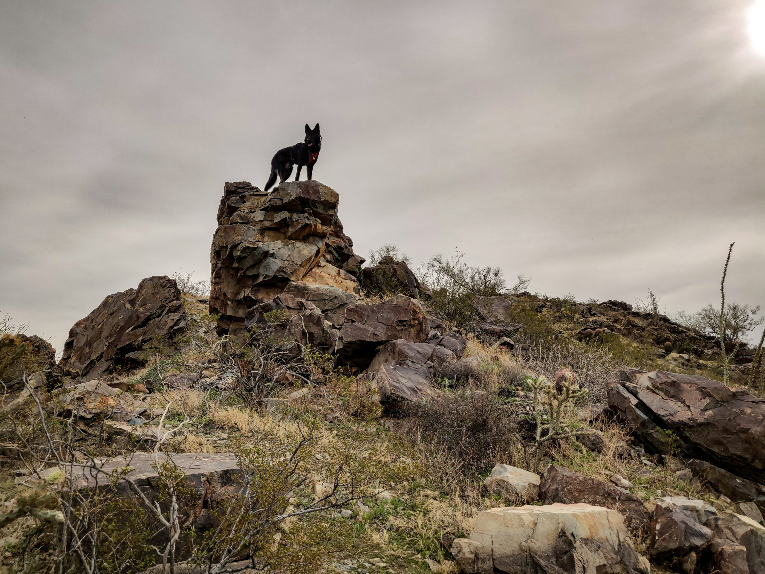 Pre-rain hike, Pyramid trail, South Mountain, Arizona, USA