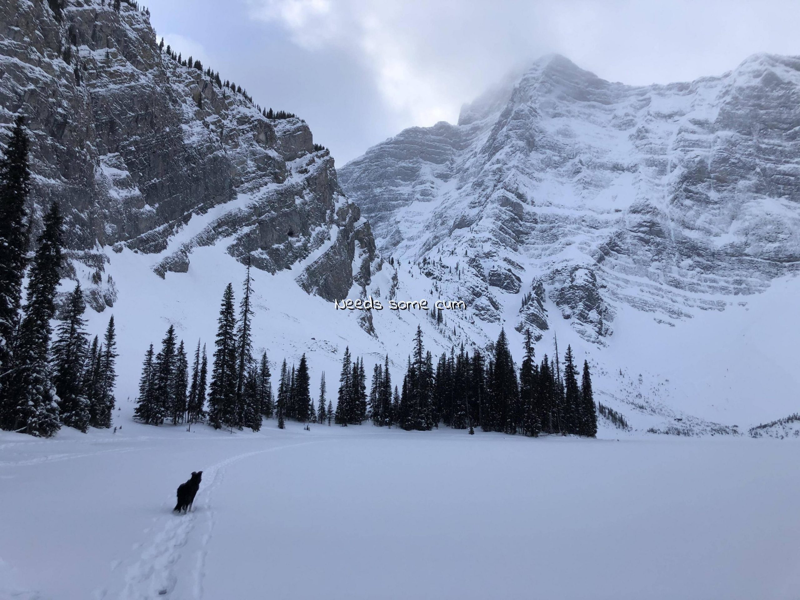 Morning hike. Rawson Lake, Alberta, Canada.