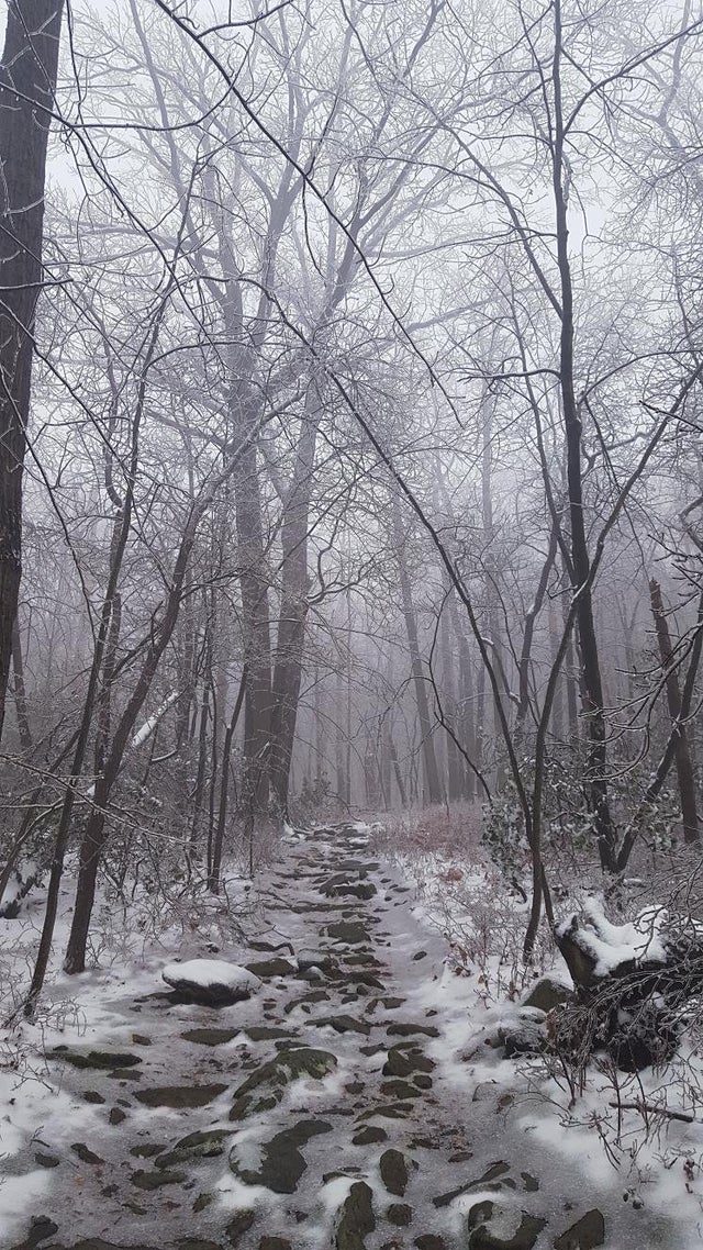 Im currently hiking the Appalachian Trail, its beautiful and eerie this time of year