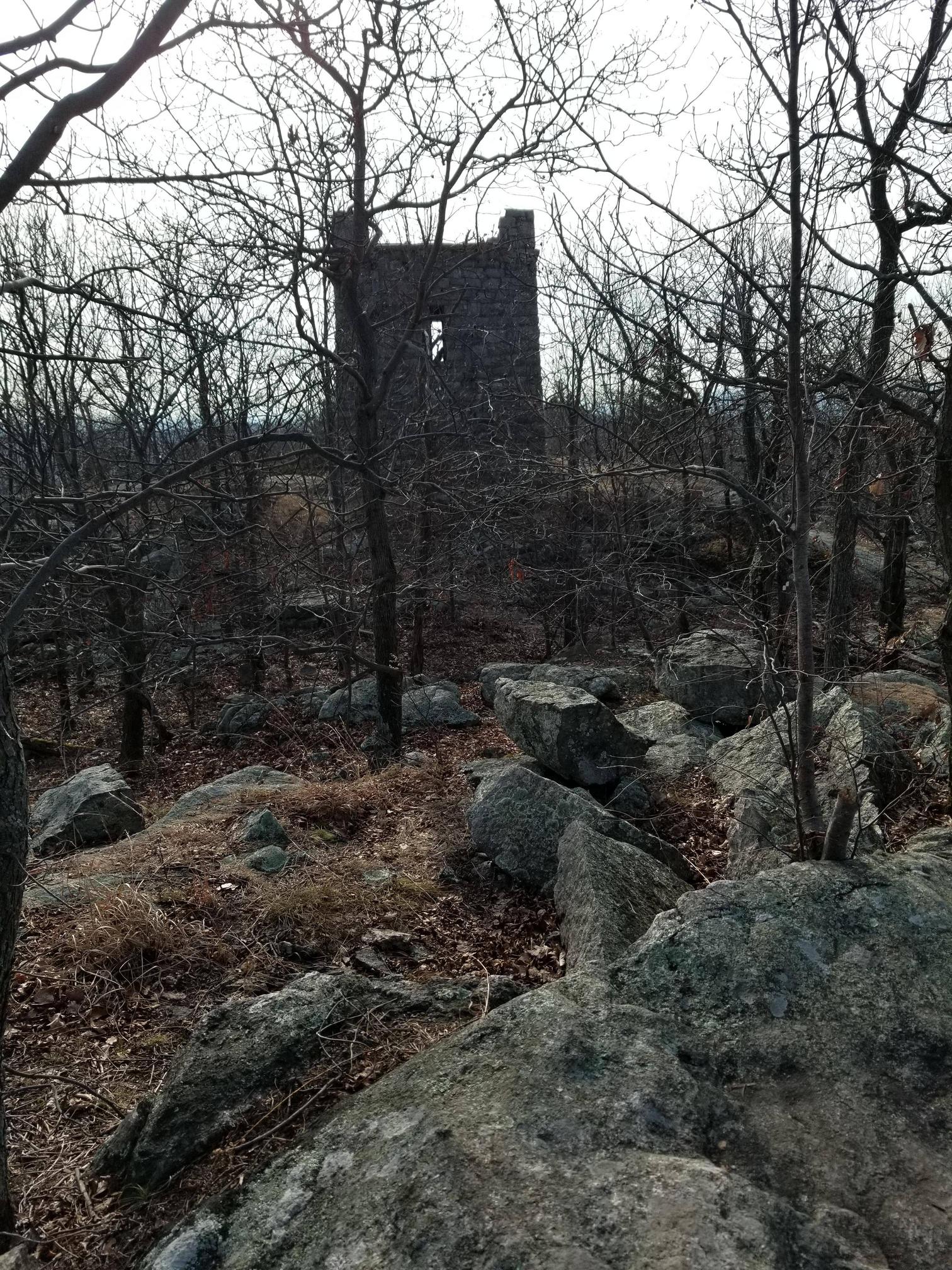 Post Christmas hike in NJ – brisk day at 35f