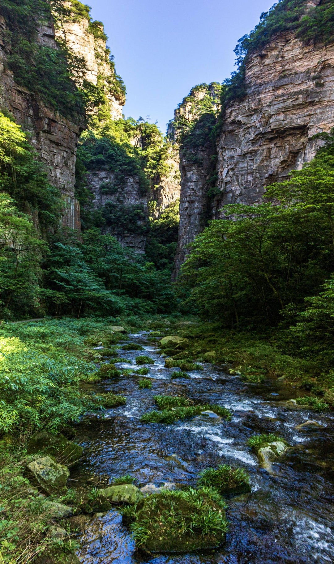 Hiked to the bottom of Zhangjiajie, China. I got chased by a monkey after taking this 60004000 OC