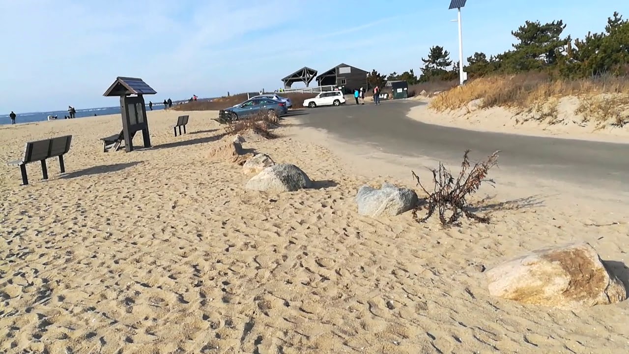 Hiking along a Trail at Hammonassat Beach