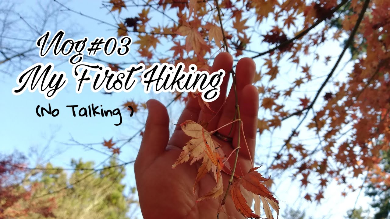 VLOG 03MY FIRST HIKING MT.TAKAO NO TALKING