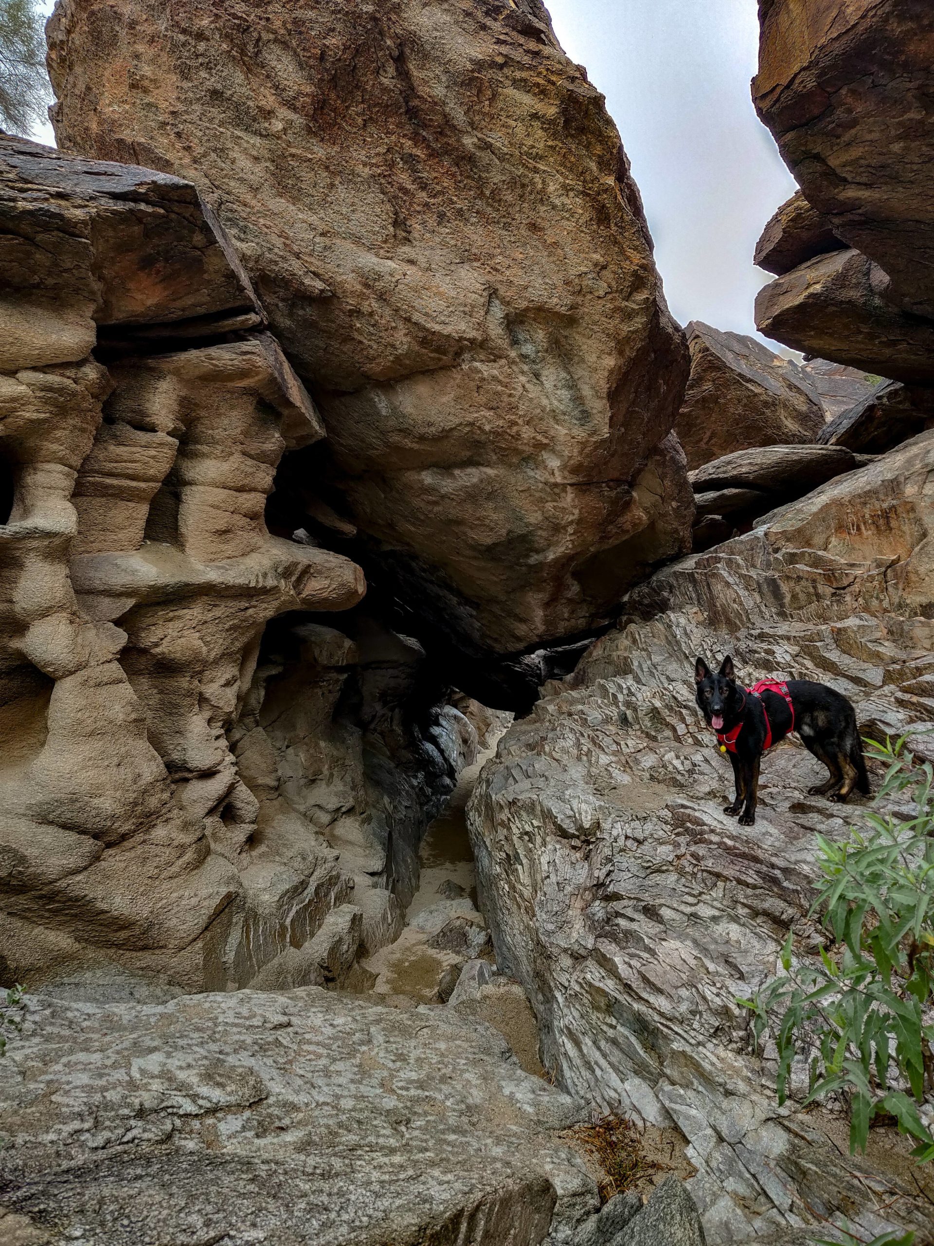 Post-rain hike, Fat Mans Pass, South Mountain, Arizona, USA