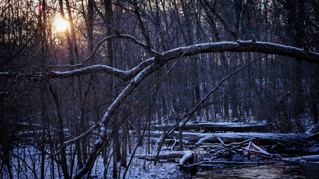 Winter sunset on the hiking trail OC