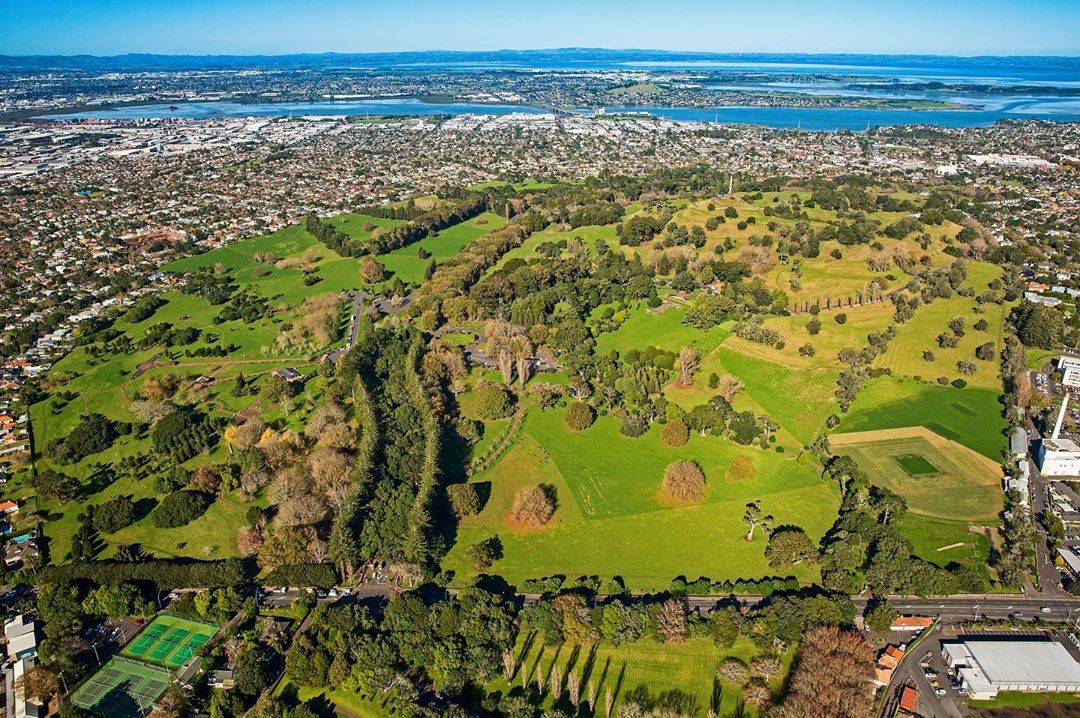 Cornwall Park is an important green space for birds travelling to other reserves, the North West Wil…