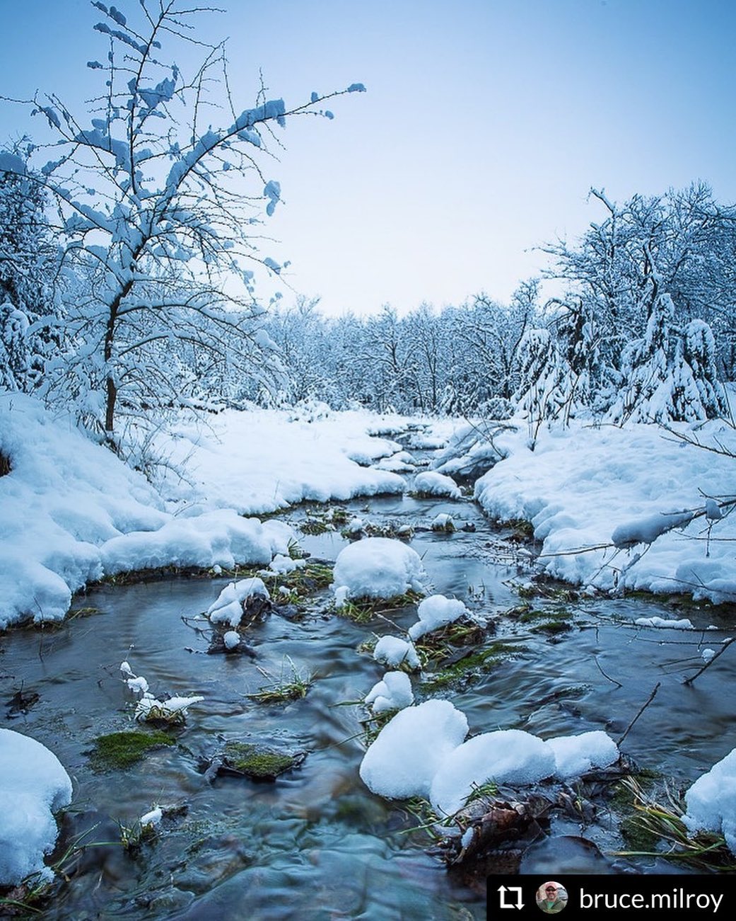 This snowy photo by click to see email is absolutely dreamy. – – – – – -Standing in a cold Kansas creek …