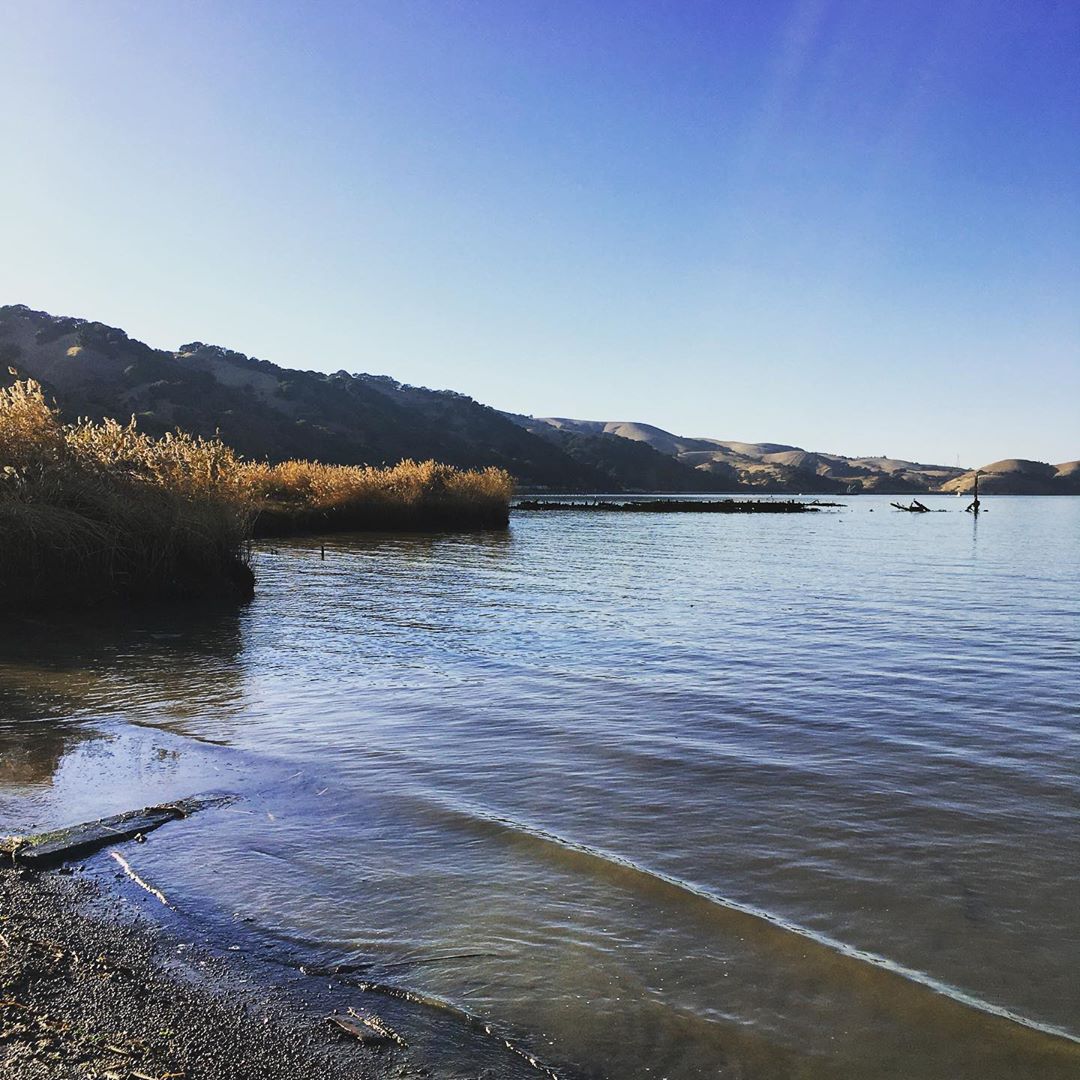 Down at the Martinez waterfront a few months back. Happy Thursdaymartinezca eastbay ebrpd eas…