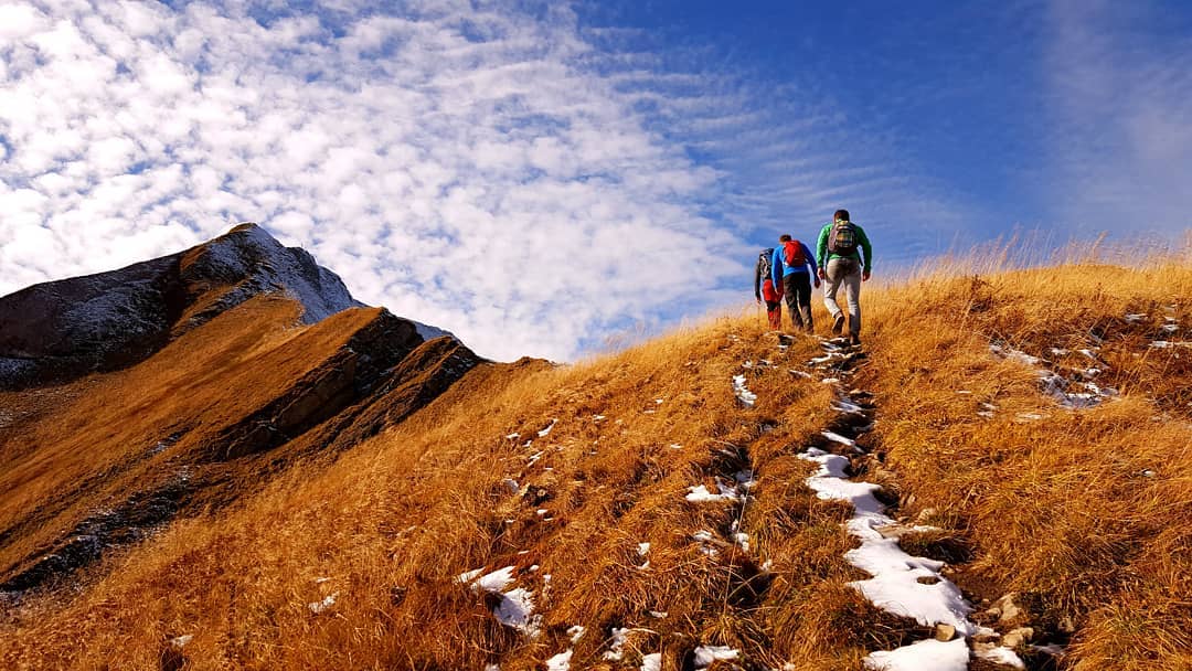 Throwback to a stunning amble in the Alps switzerland swiss alps europe mountains colour outd…