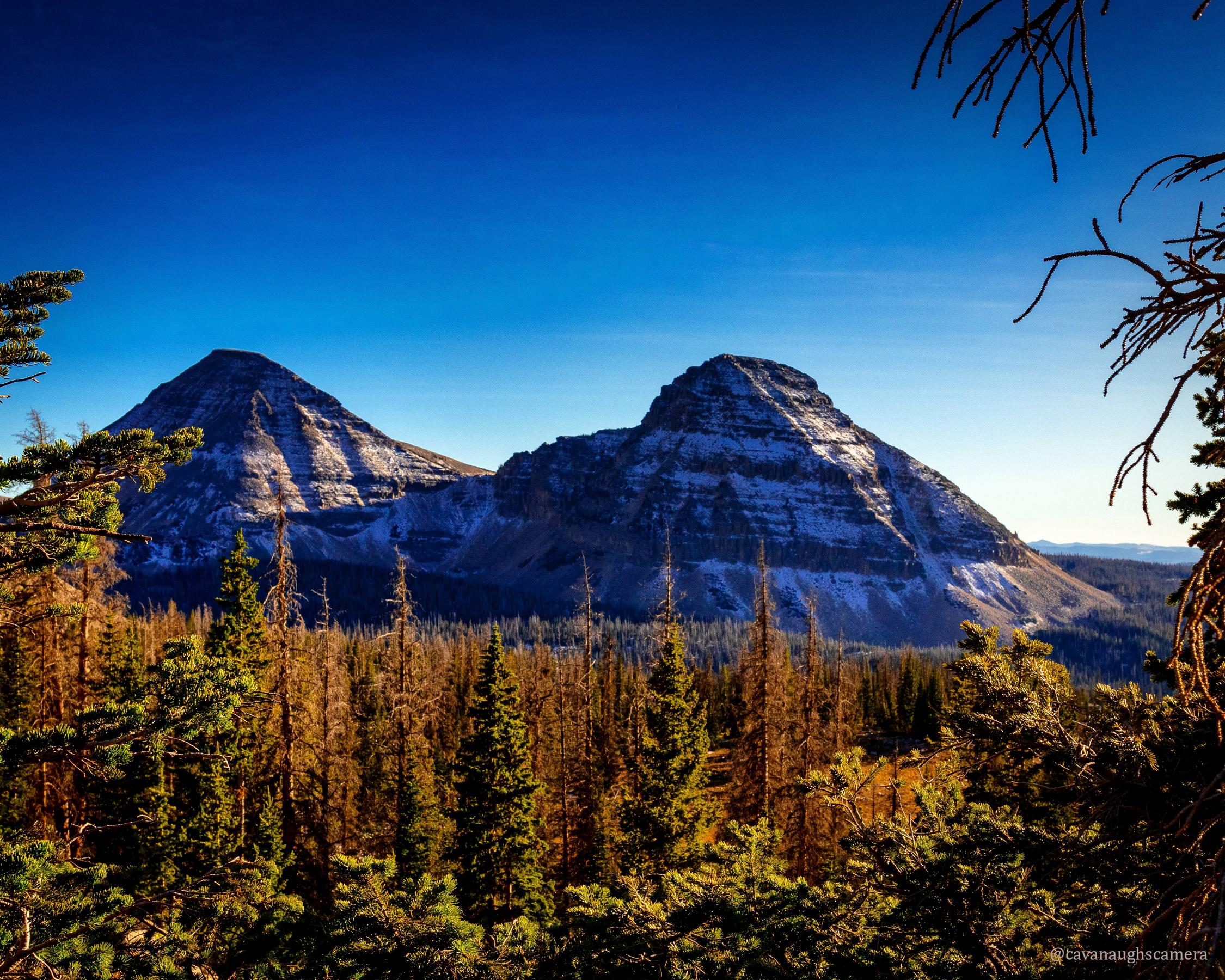 Near the top of the Lofty Lake Loop, Utah. Its a steep hike, but well worth the view. OC 4499×3599