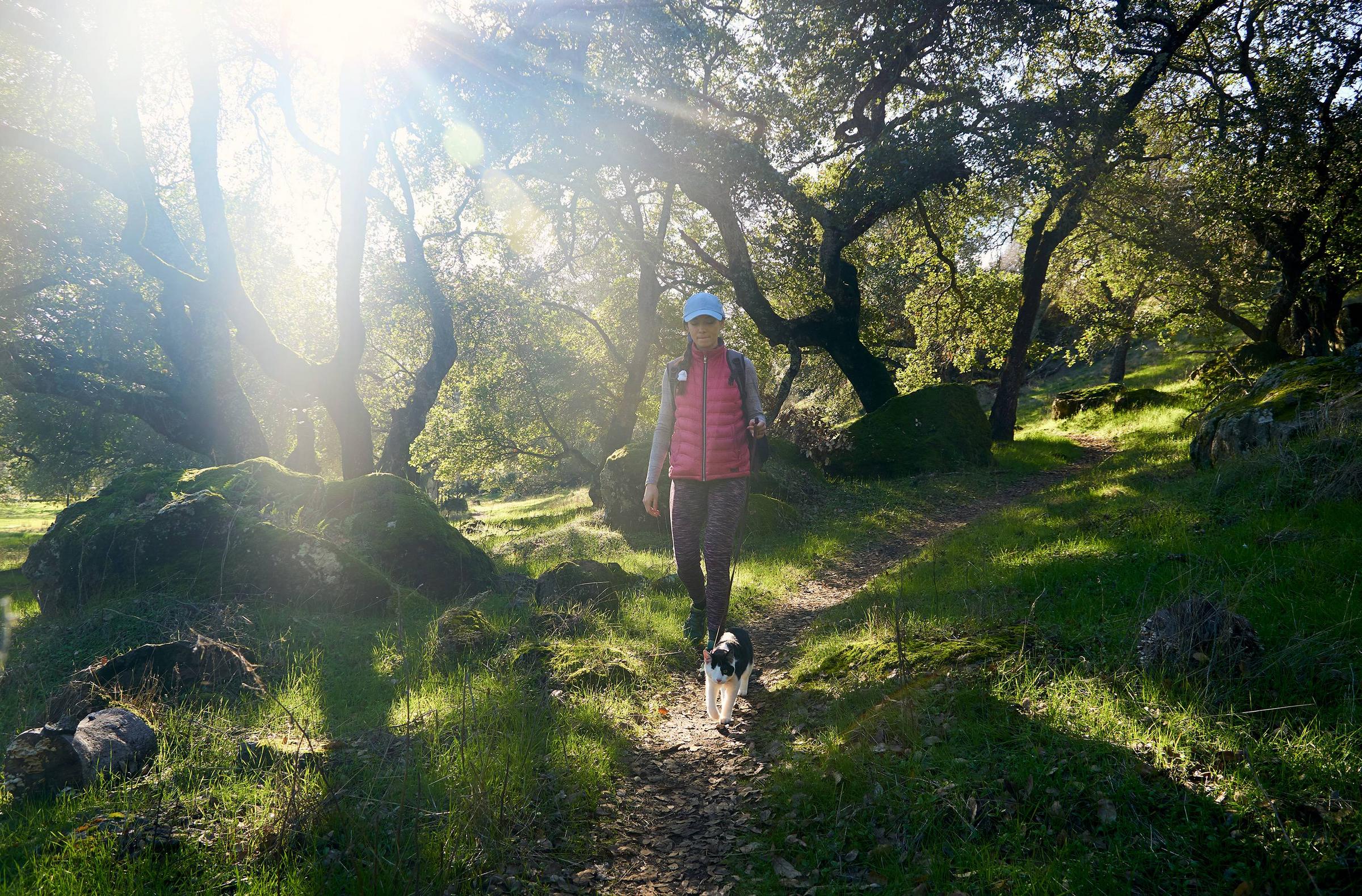 through the wood we go rockville regional park, ca