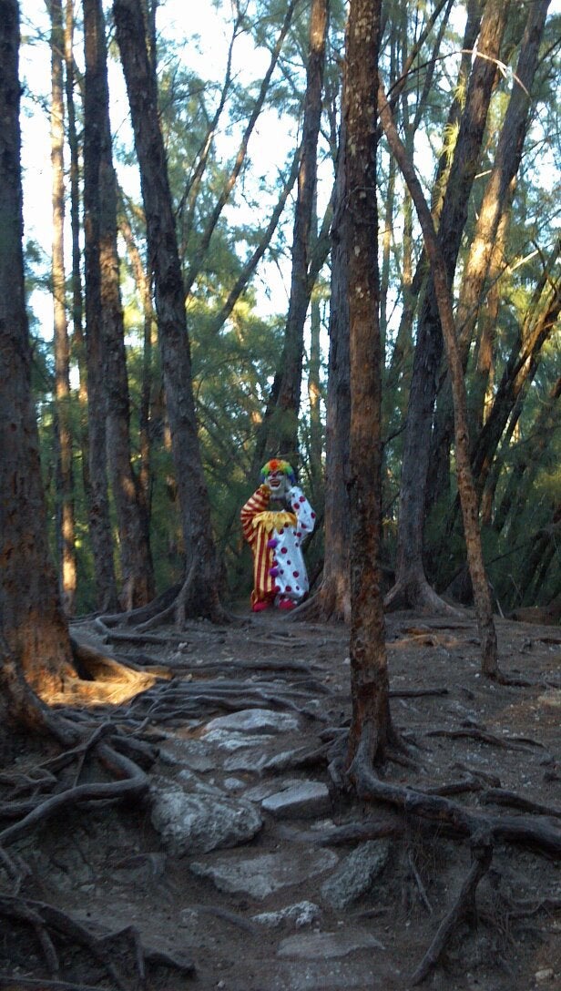 Was hiking through Oleta River Park in Miami,FL when I went into cardiac arrest. – rWTF 1918 January 30, 2012