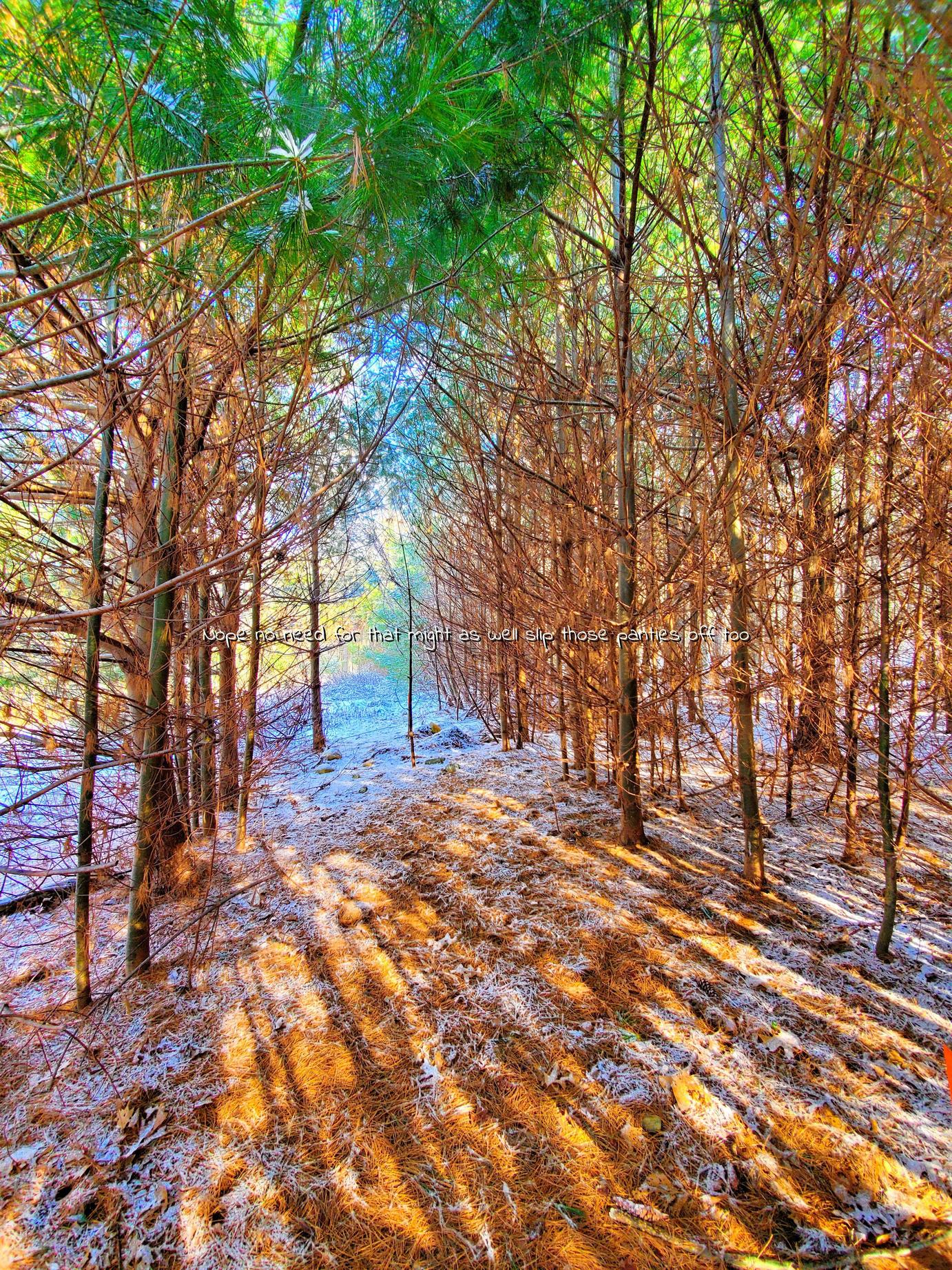 Took a hike to a rainbow gate, Eastern CT