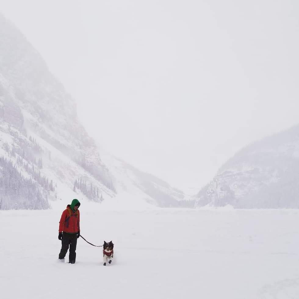 Hiking with the puppy.