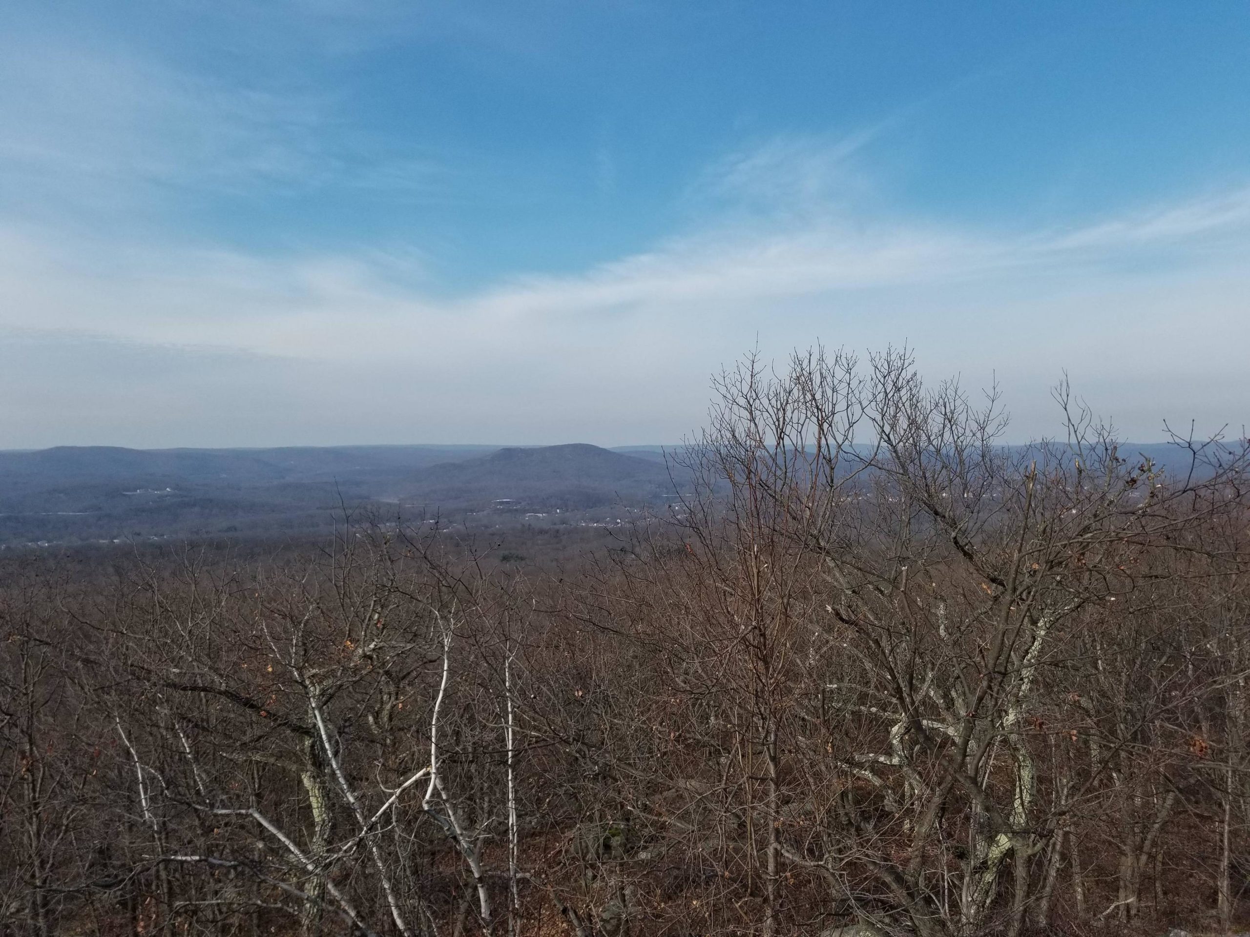 Post Christmas hike in the Ramapo state forest