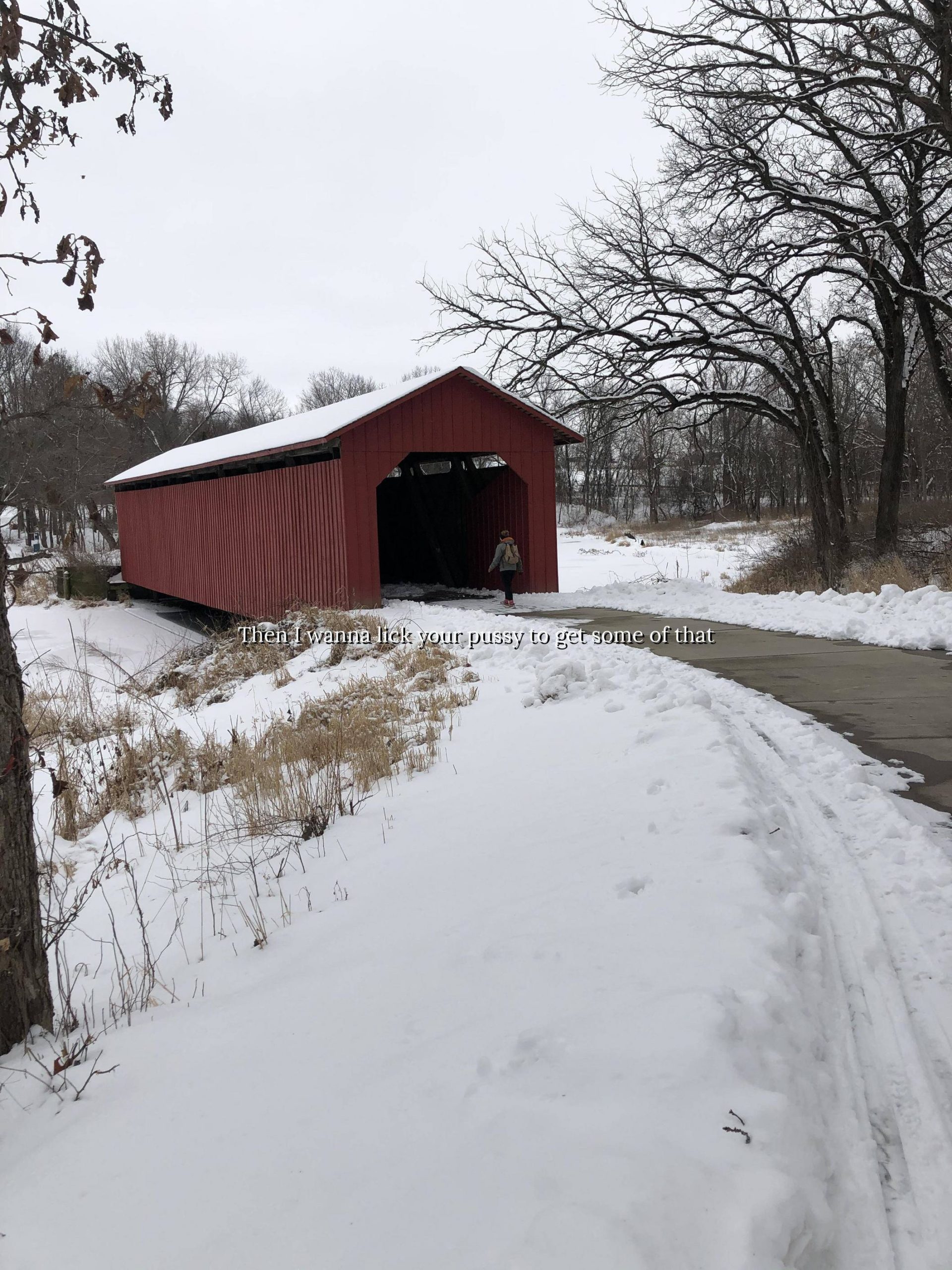 A brisk hike, a covered bridge, and winter beauty around Easter Lake in Des Moines, IA.