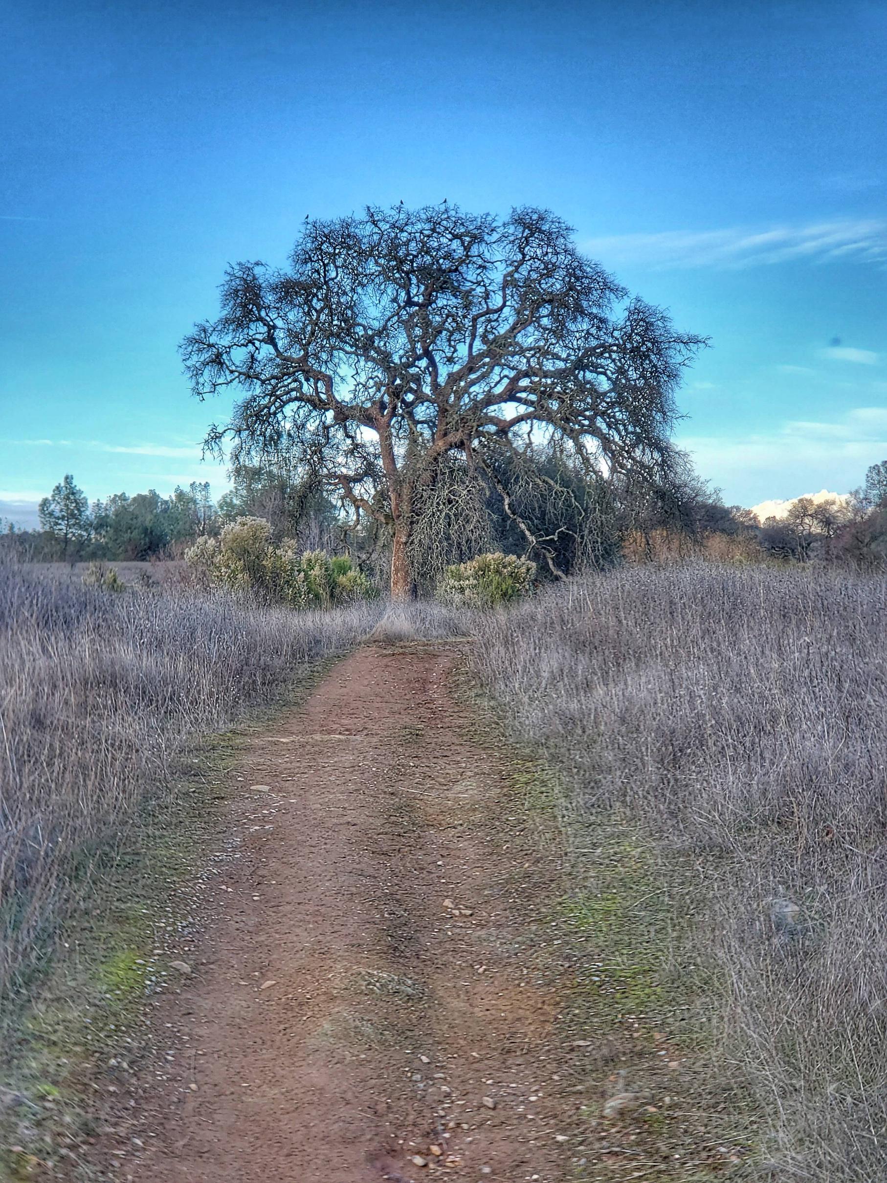 My favorite from a hike I took yesterday