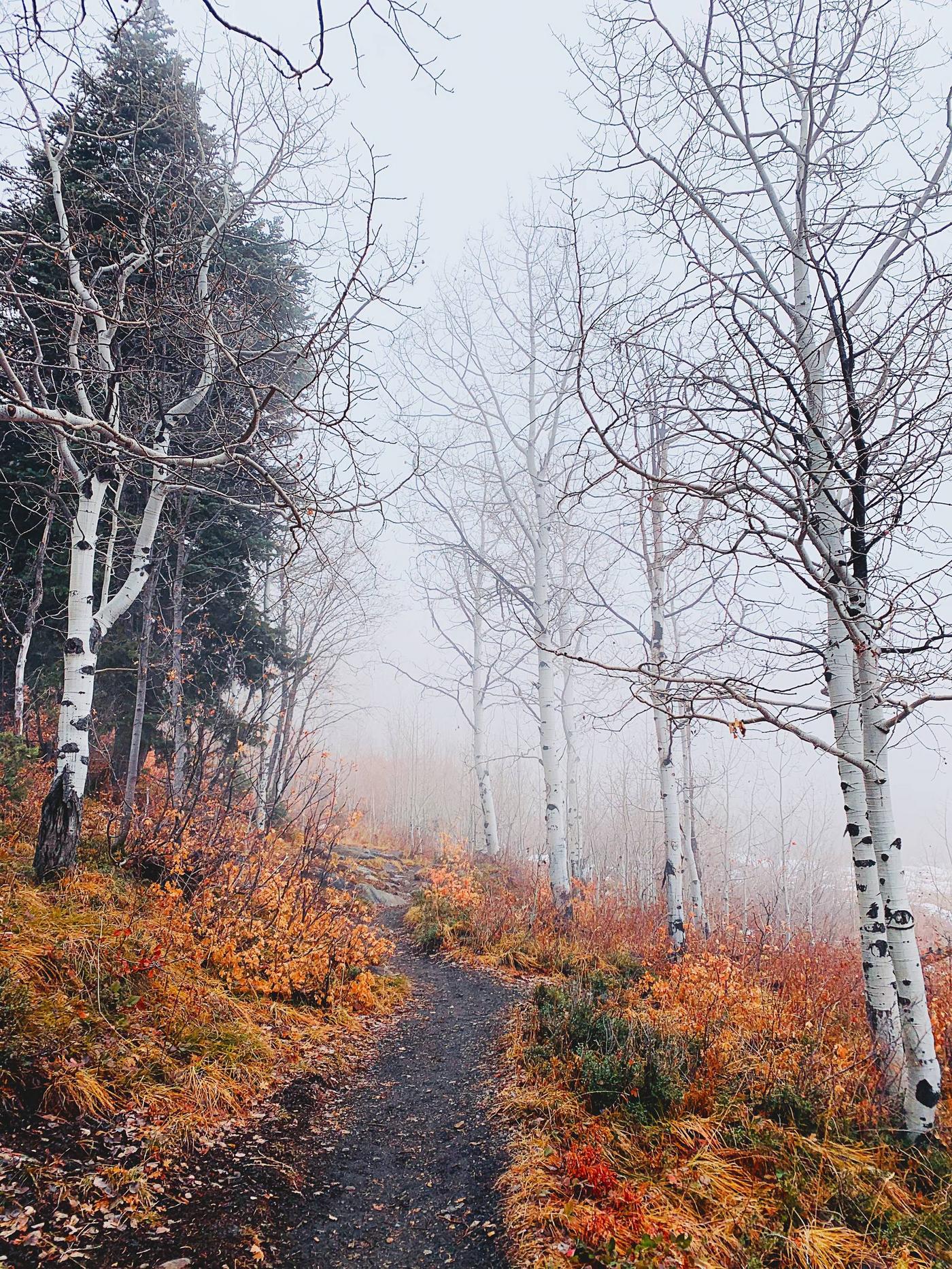 Lake Blanch Trail in Twin Peaks Wilderness, Utah. Even with the clouds, felt like I was in Wonderland the entire time.