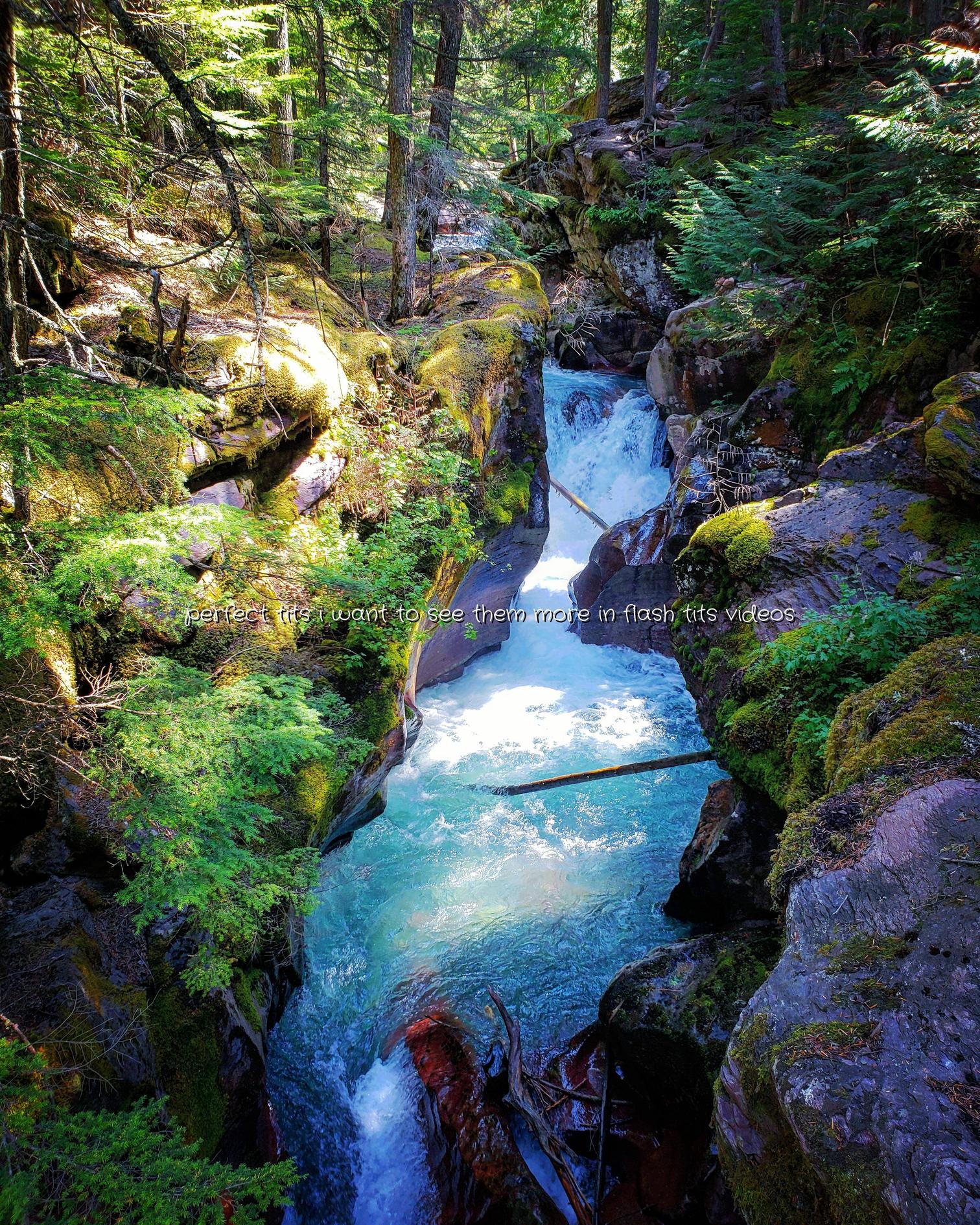 Found on the hike to Avalanche Lake in Glacier National Park