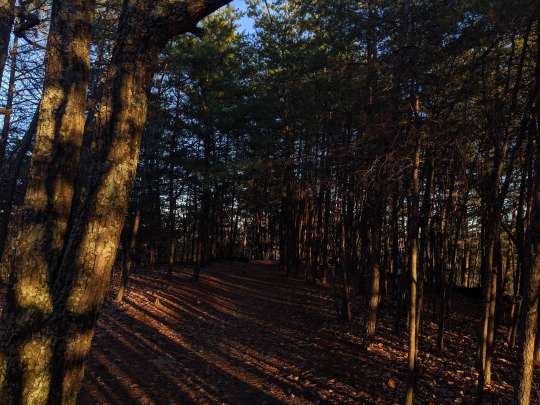 Sunset in the Ridgeline. Pinnacles, Berea, KY, USA