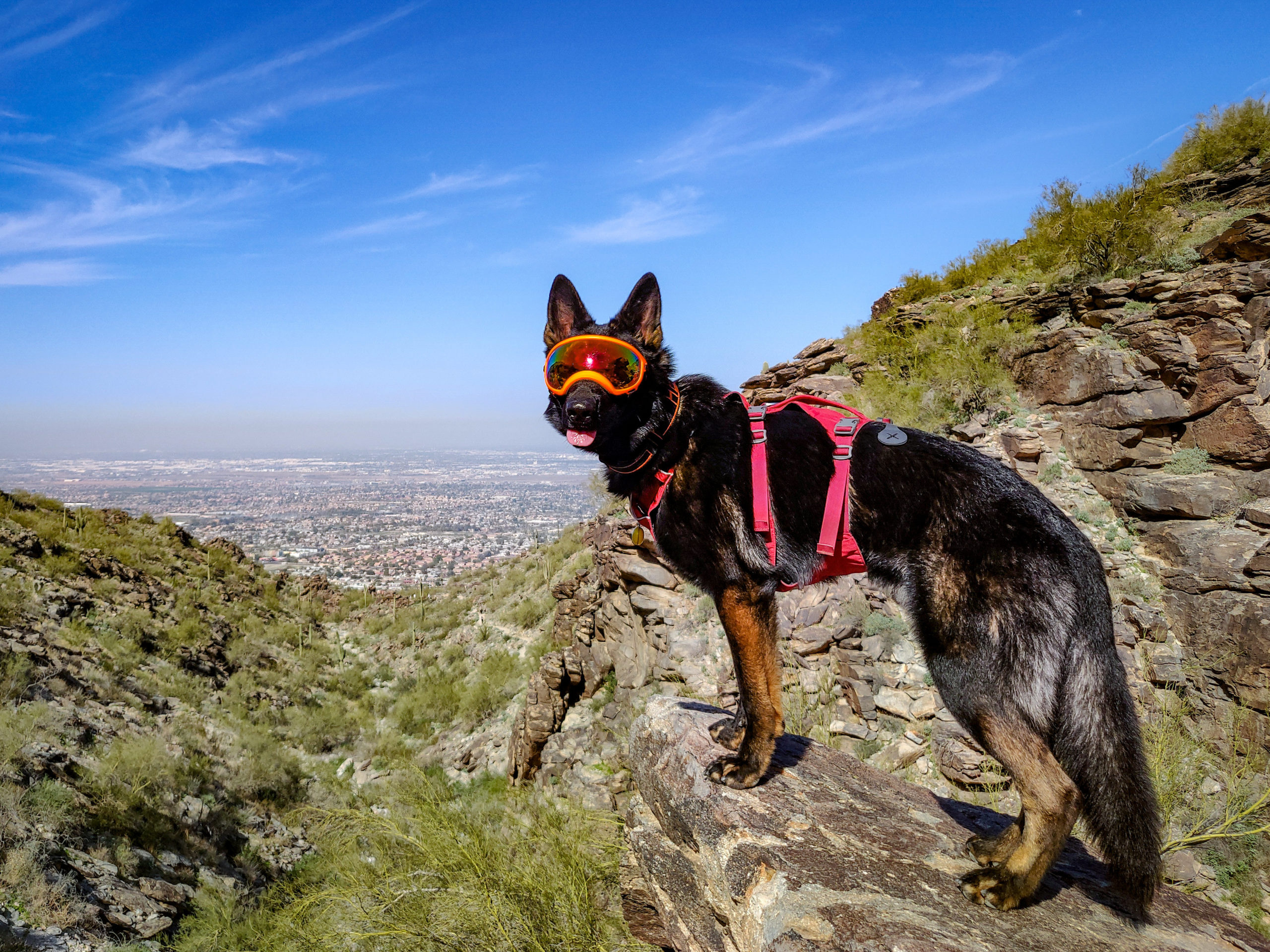 Hike 4 for us on Holbert trail at South Mountain, whats your favorite Arizona trail