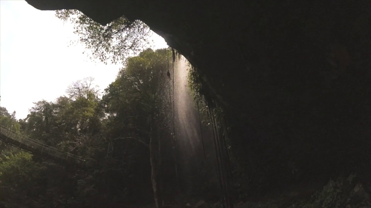 Dorrigo Hiking