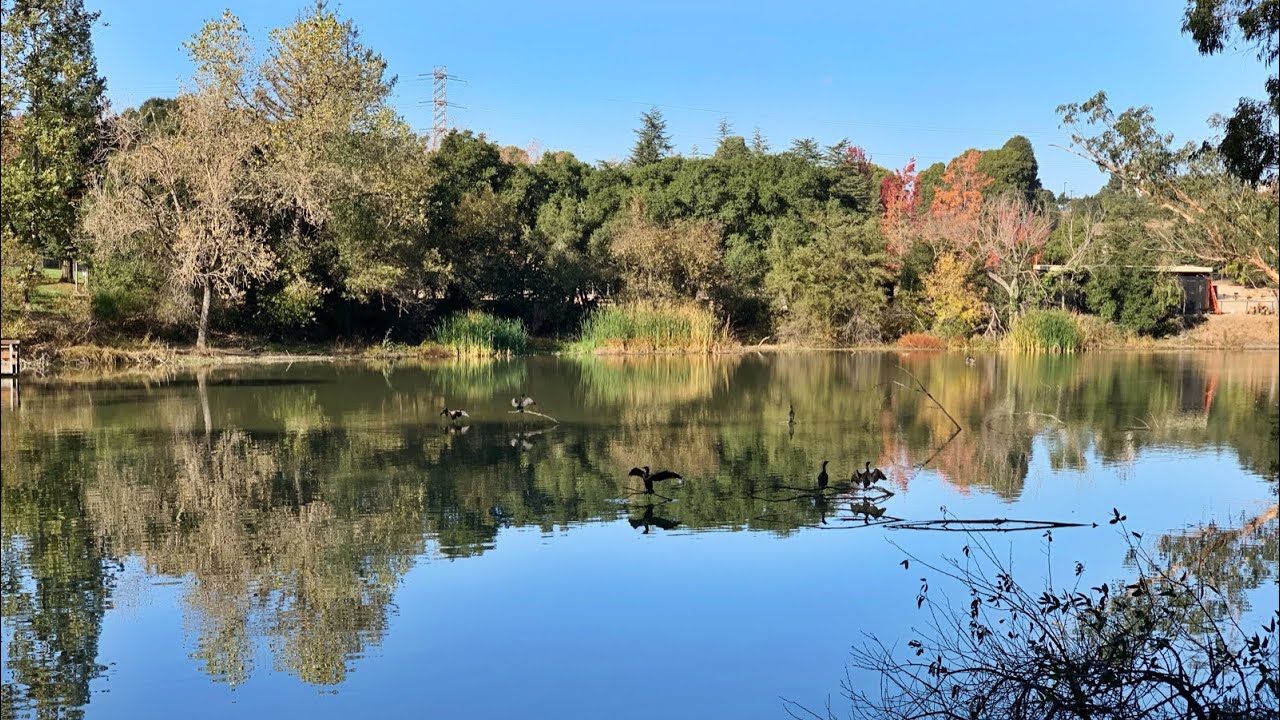 Hiking Don Castro amp Five Canyons East Bay Regional Park District 2019 Trails Challenge