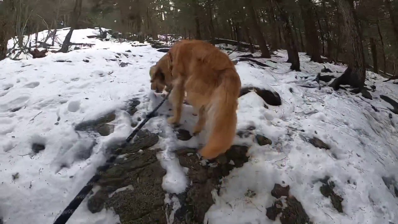 Hiking an abandoned ski area