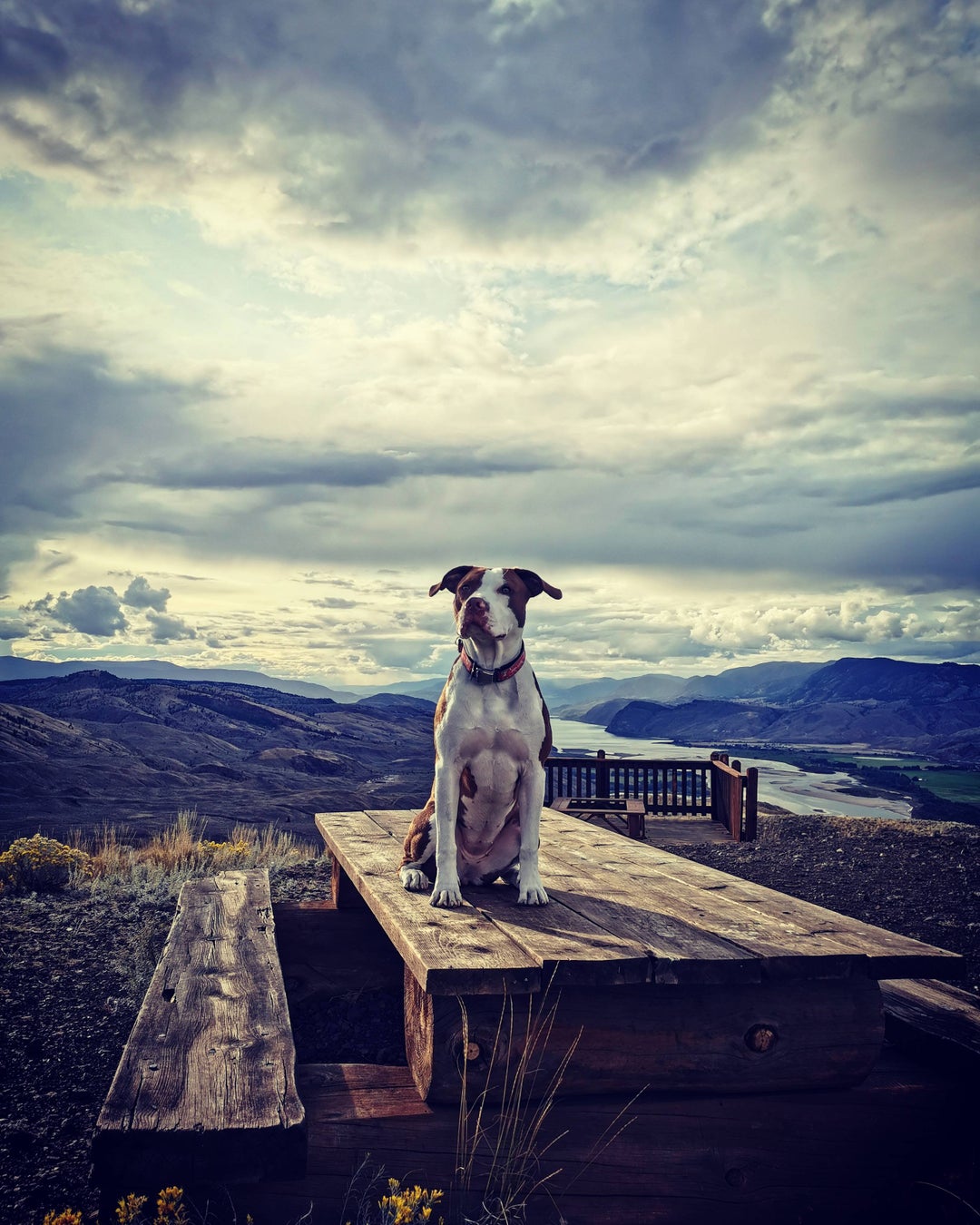 Maya is missing summer hikes