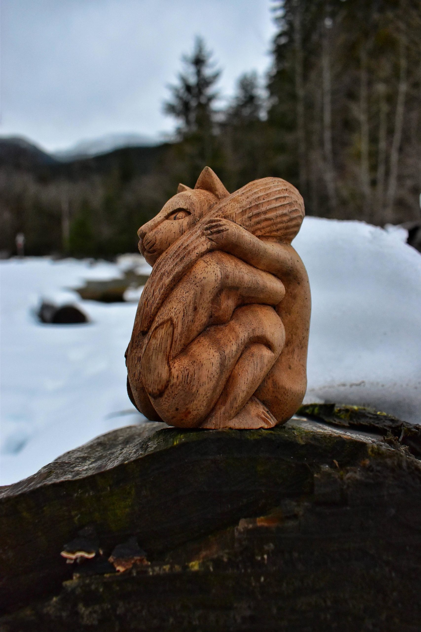 I wanted to share this beautiful carving I found while hiking, in Washington state.