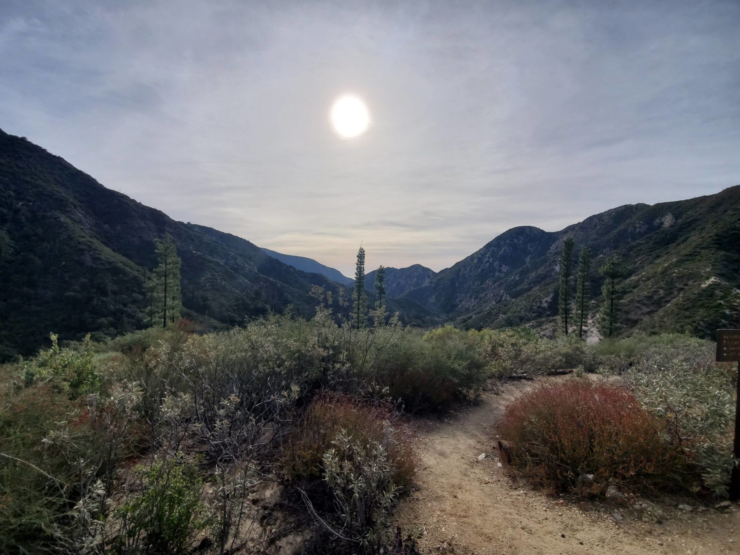 Los Angeles National Forest looking nice into the new year.