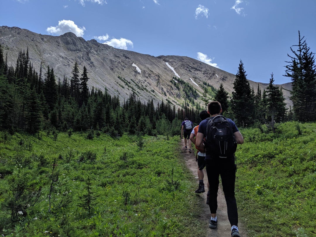 Friends and I were on a hike last summer on Mount Allan.