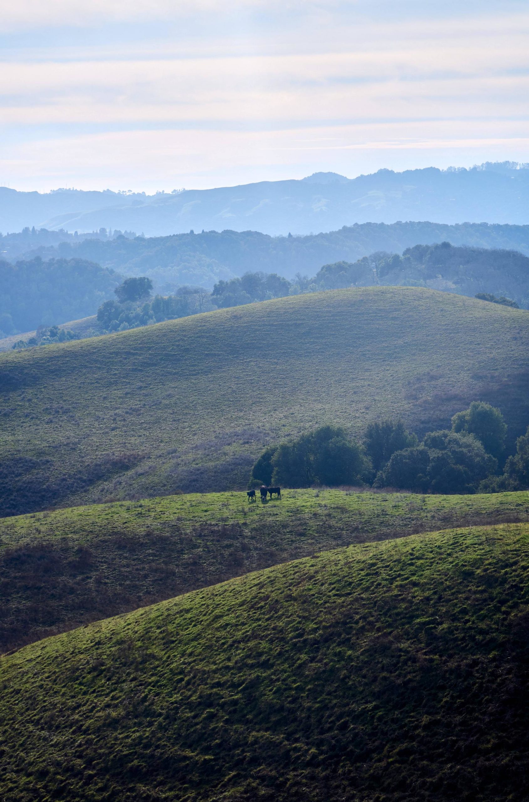 Cloudy day in California hills