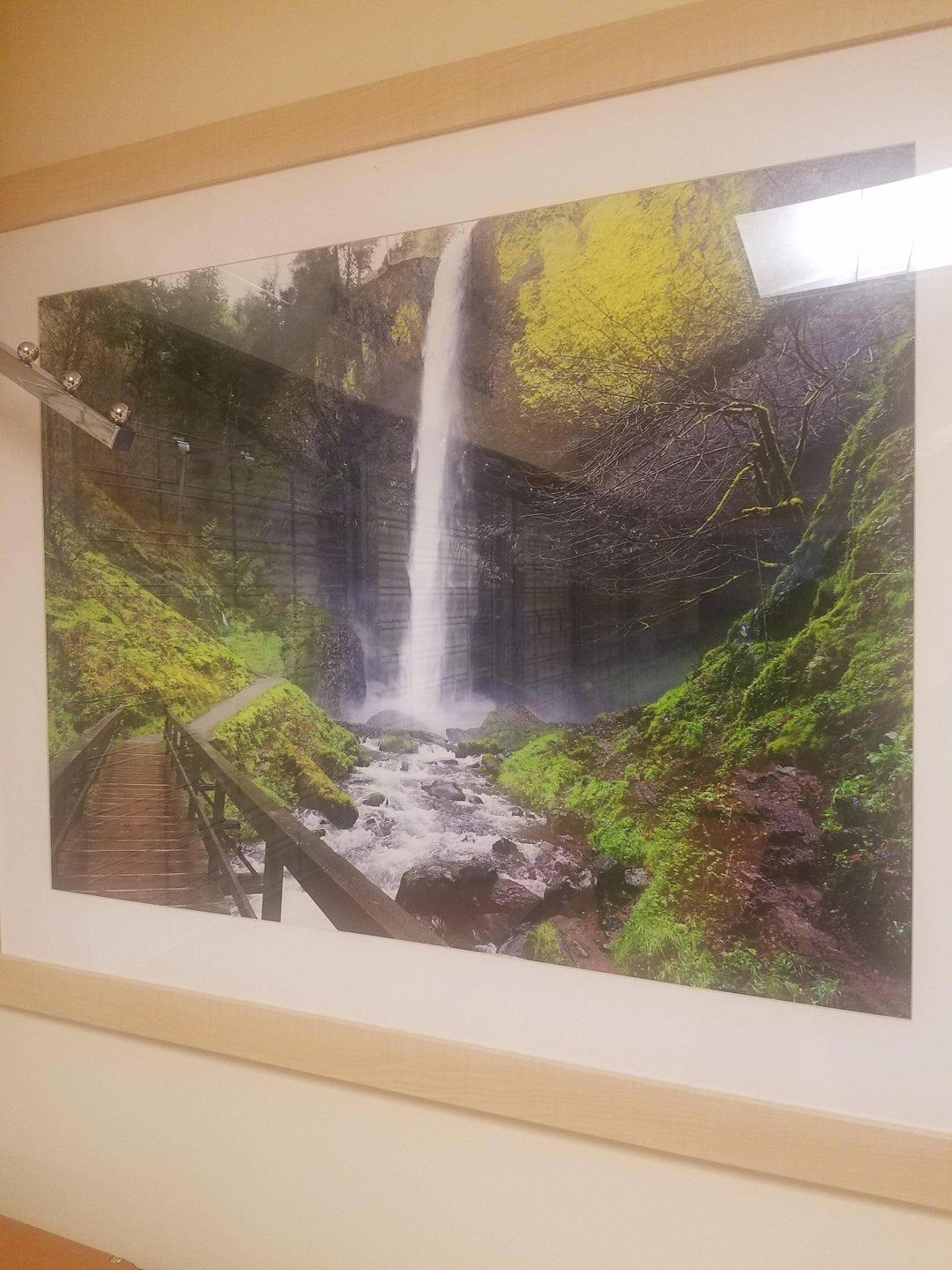 This picture is located at the american lake VA hospital. Anyone know which hike it is